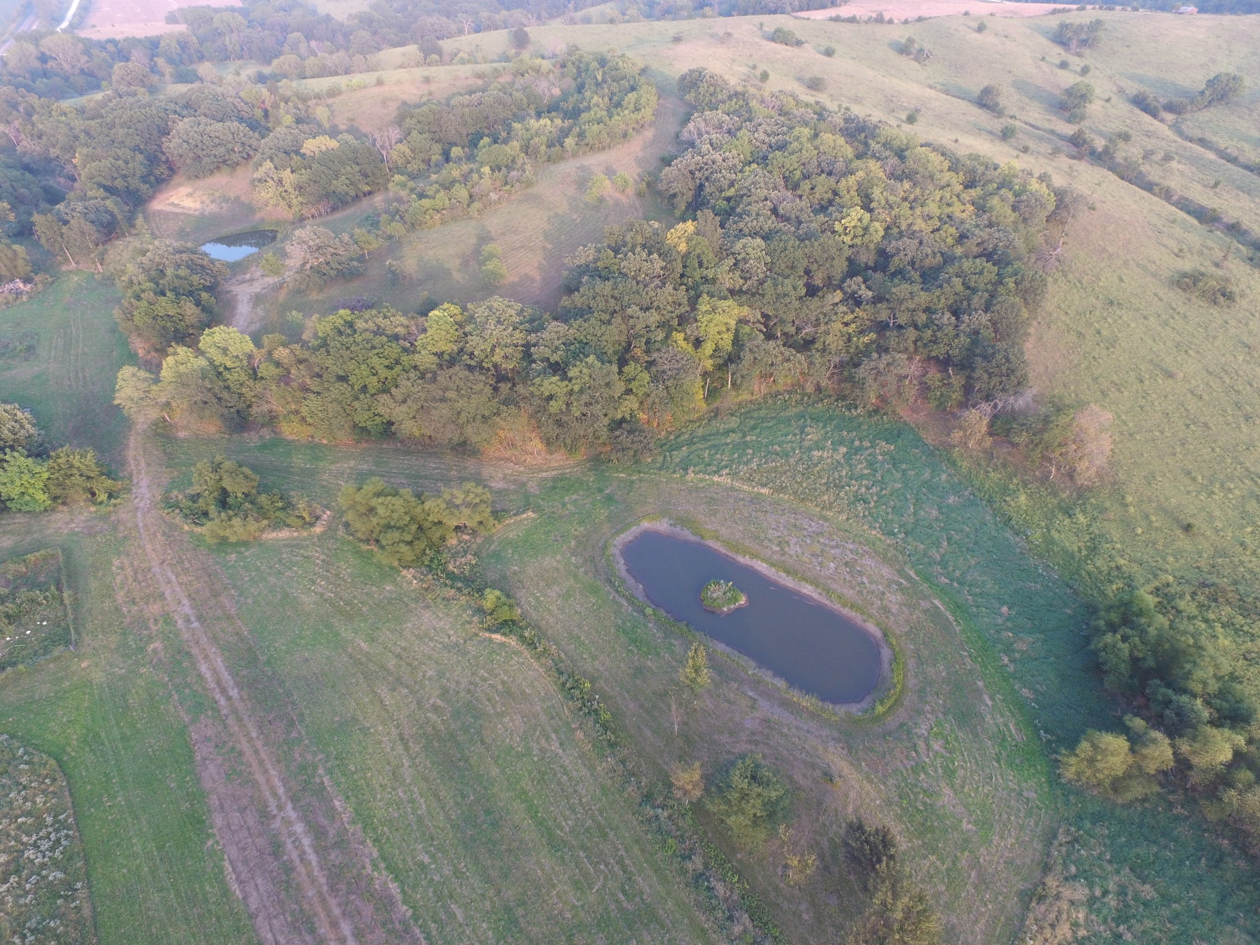 land-lucas-county-iowa-19-acres-listing-number-17114-DJI_0075-4.jpg