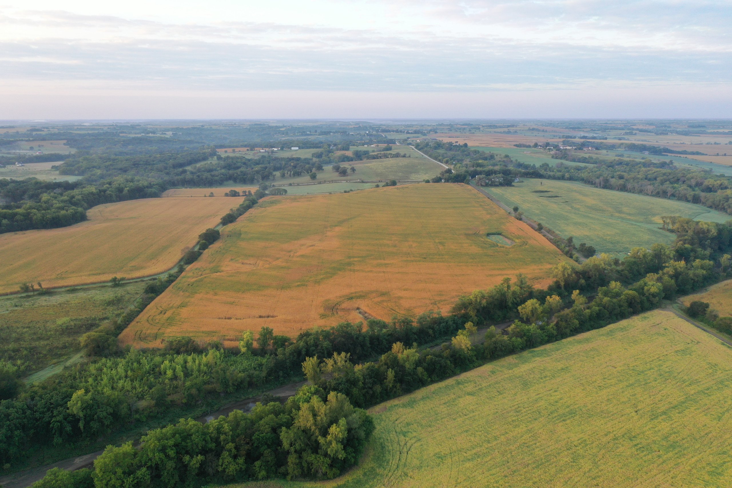 Warren County, Iowa Farmland For Sale