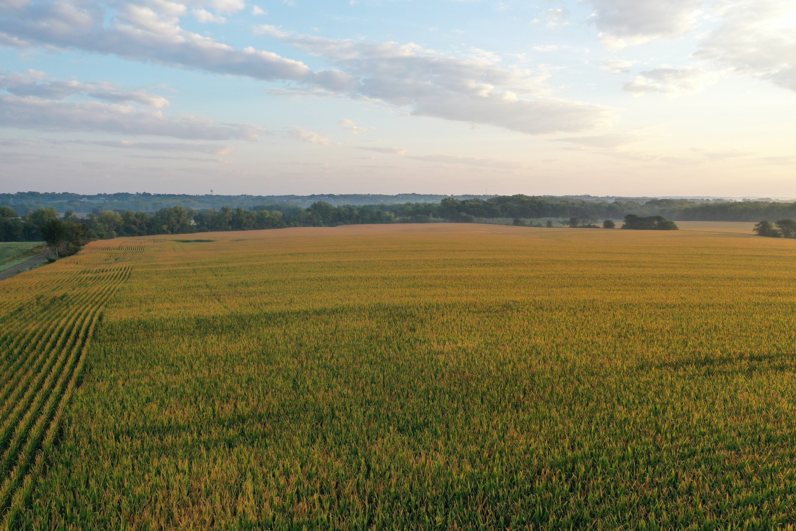 Warren County, Iowa Farmland For Sale