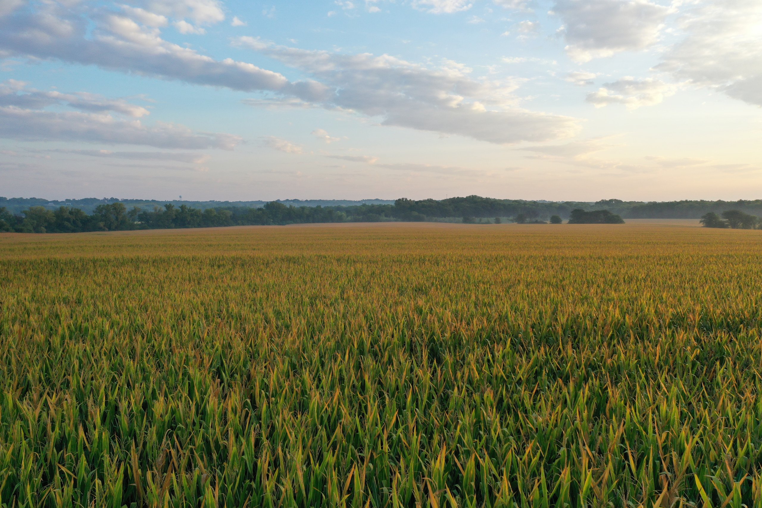 Warren County, Iowa Farmland For Sale