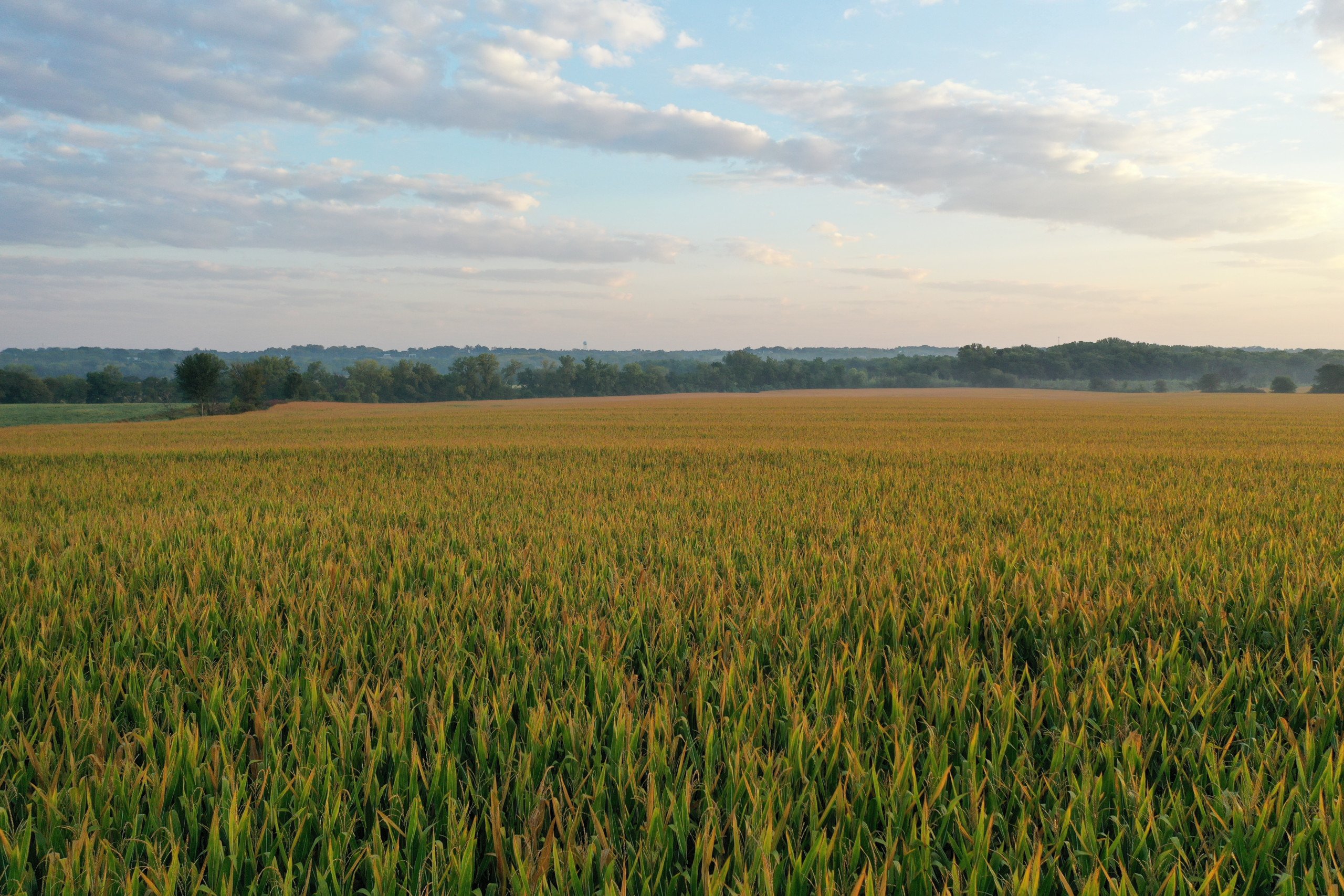 Warren County, Iowa Farmland For Sale