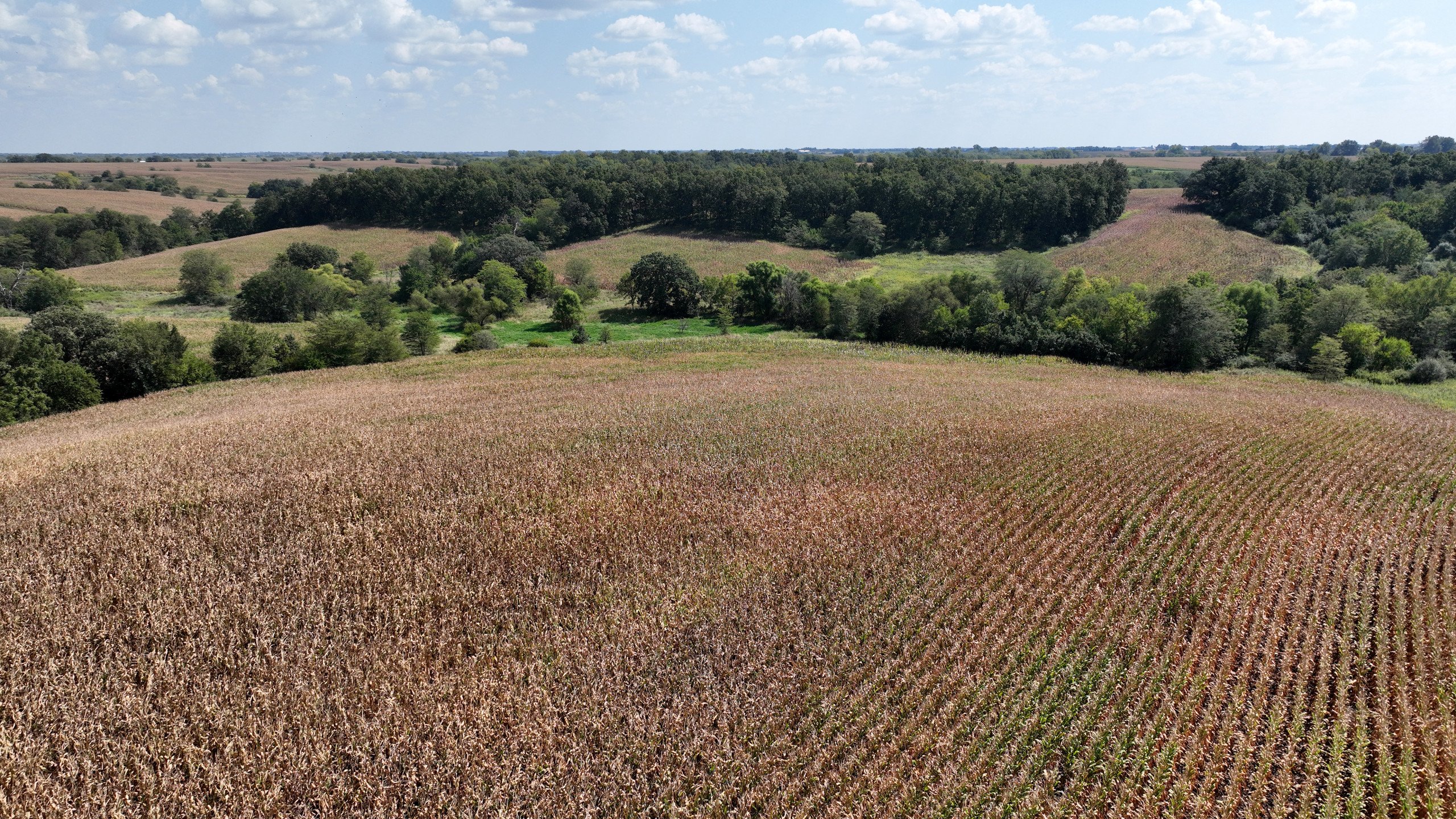 land-wayne-county-iowa-609-acres-listing-number-17121-DJI_0817-3.jpg