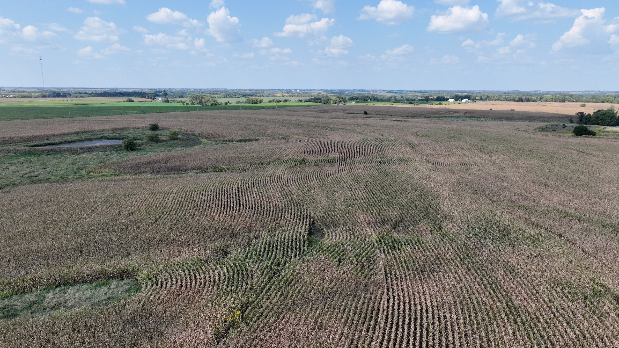 land-wayne-county-iowa-609-acres-listing-number-17121-DJI_0831-4.jpg