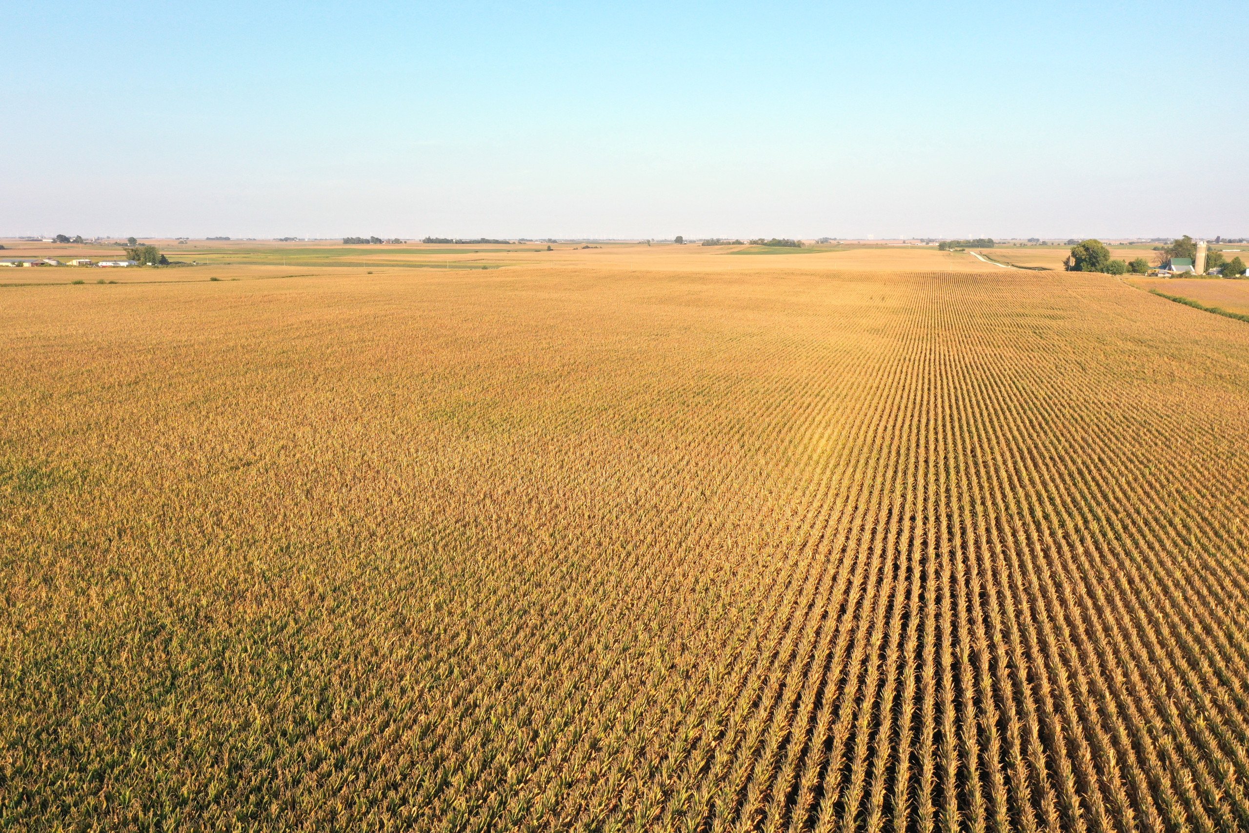 story-county-iowa-157-acres-listing-number-17126-DJI_0068-2.jpg