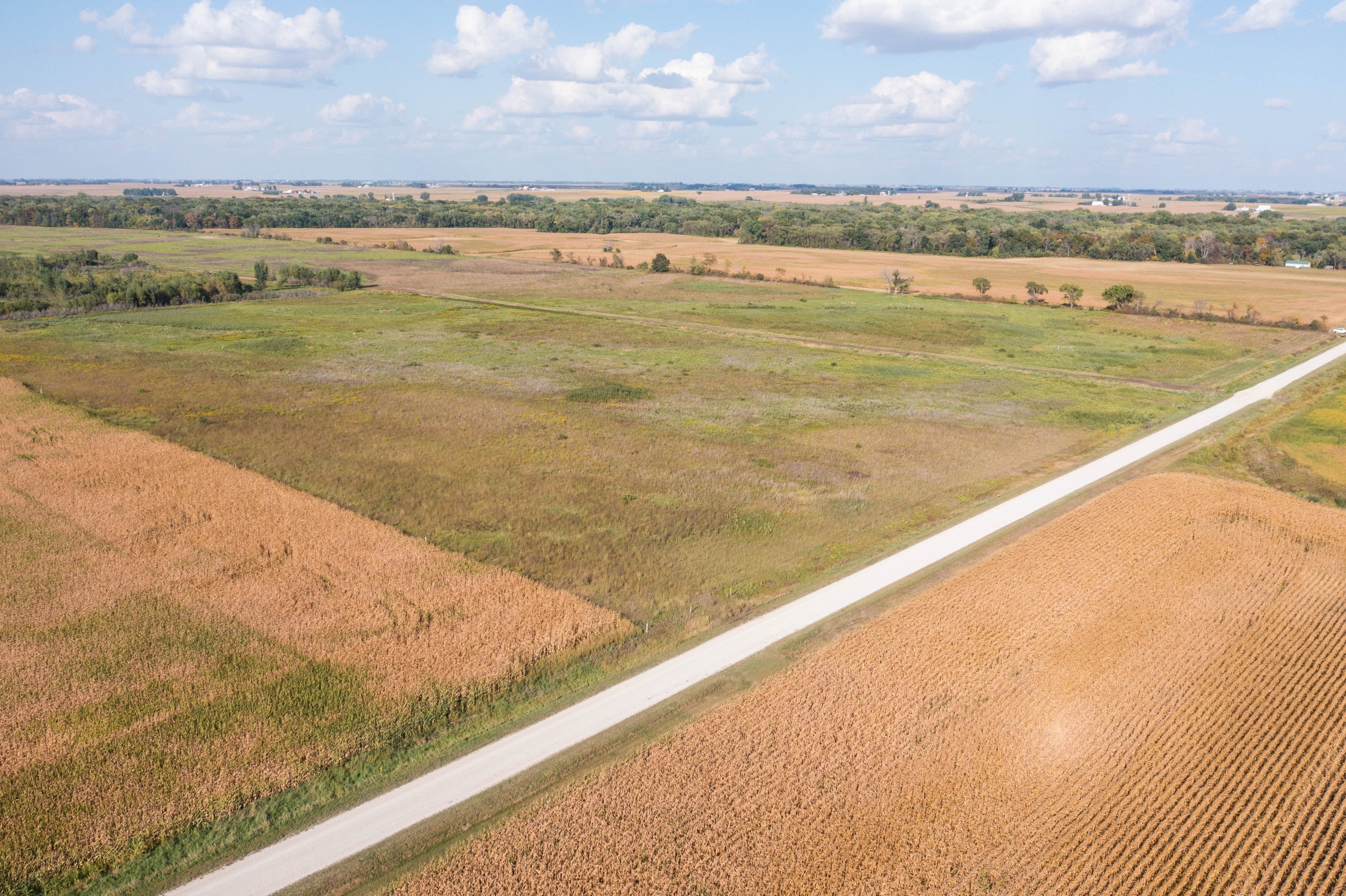 land-bremer-county-iowa-40-acres-listing-number-17127-DJI_0674-5.jpg