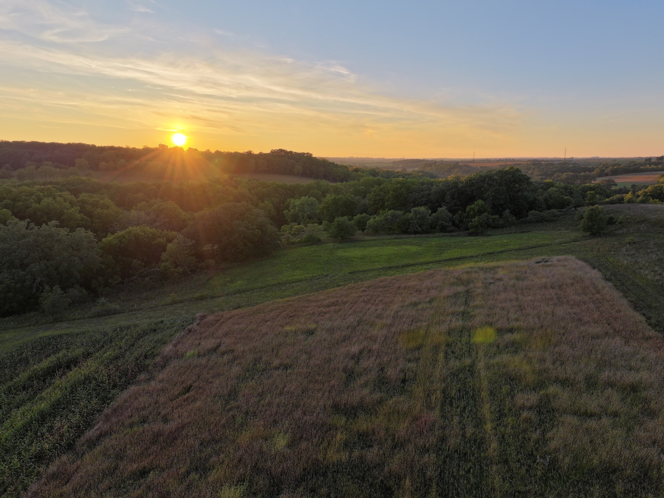 land-grant-county-wisconsin-105-acres-listing-number-17128-DJI_20230913190021_0032_D-0.jpg