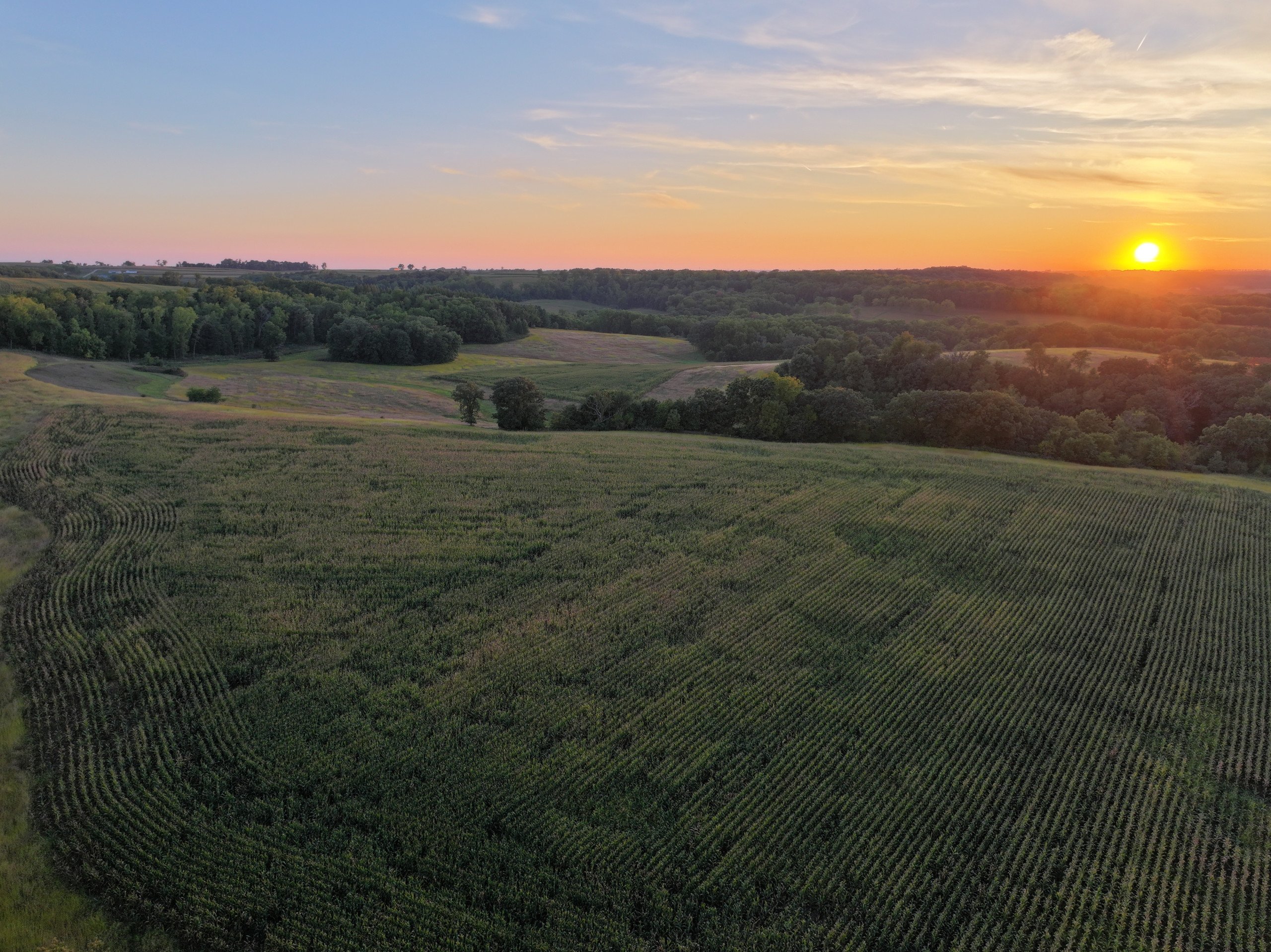 land-grant-county-wisconsin-105-acres-listing-number-17128-DJI_20230913190810_0038_D-0.jpg