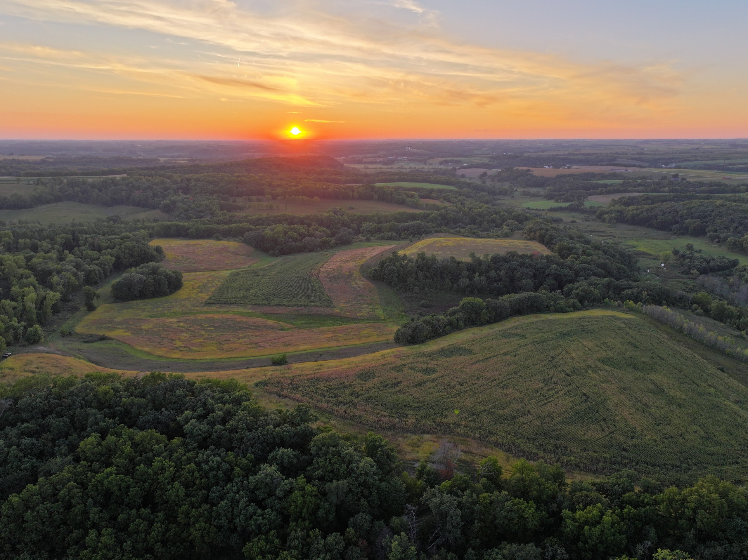 land-grant-county-wisconsin-105-acres-listing-number-17128-DJI_20230913191045_0045_D-0.jpg