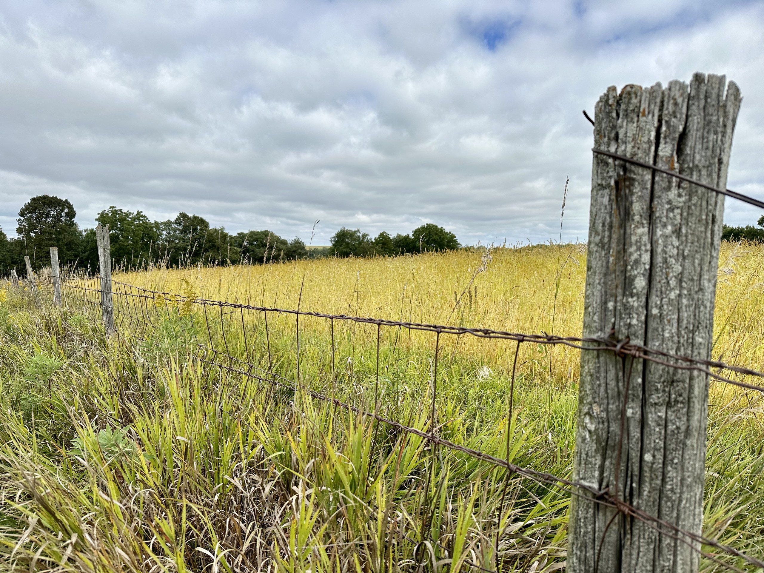 land-grant-county-wisconsin-105-acres-listing-number-17128-Photo Sep 13 2023, 1 05 30 PM-0.jpg