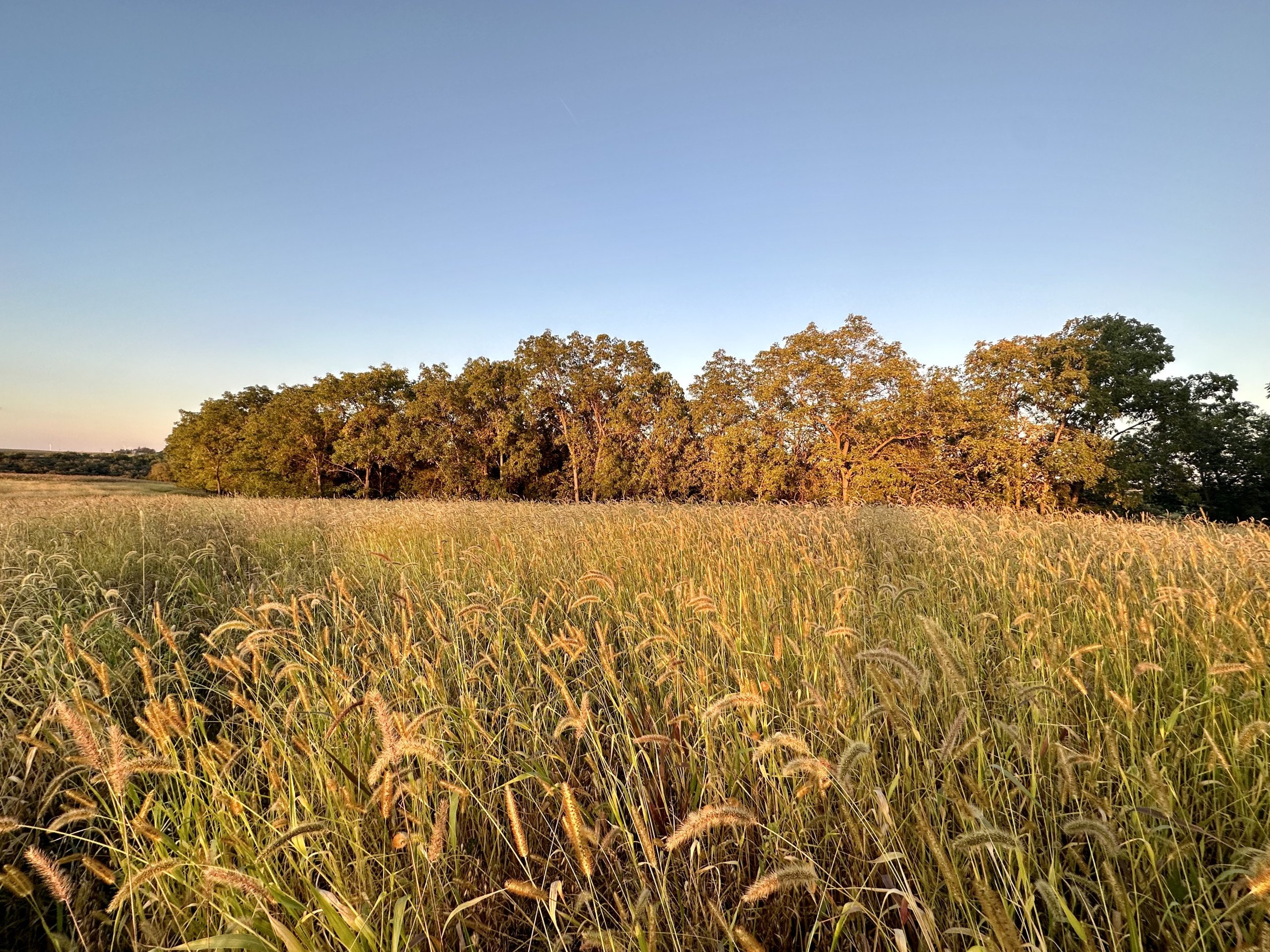 land-grant-county-wisconsin-105-acres-listing-number-17128-Photo Sep 13 2023, 7 04 38 PM-0.jpg