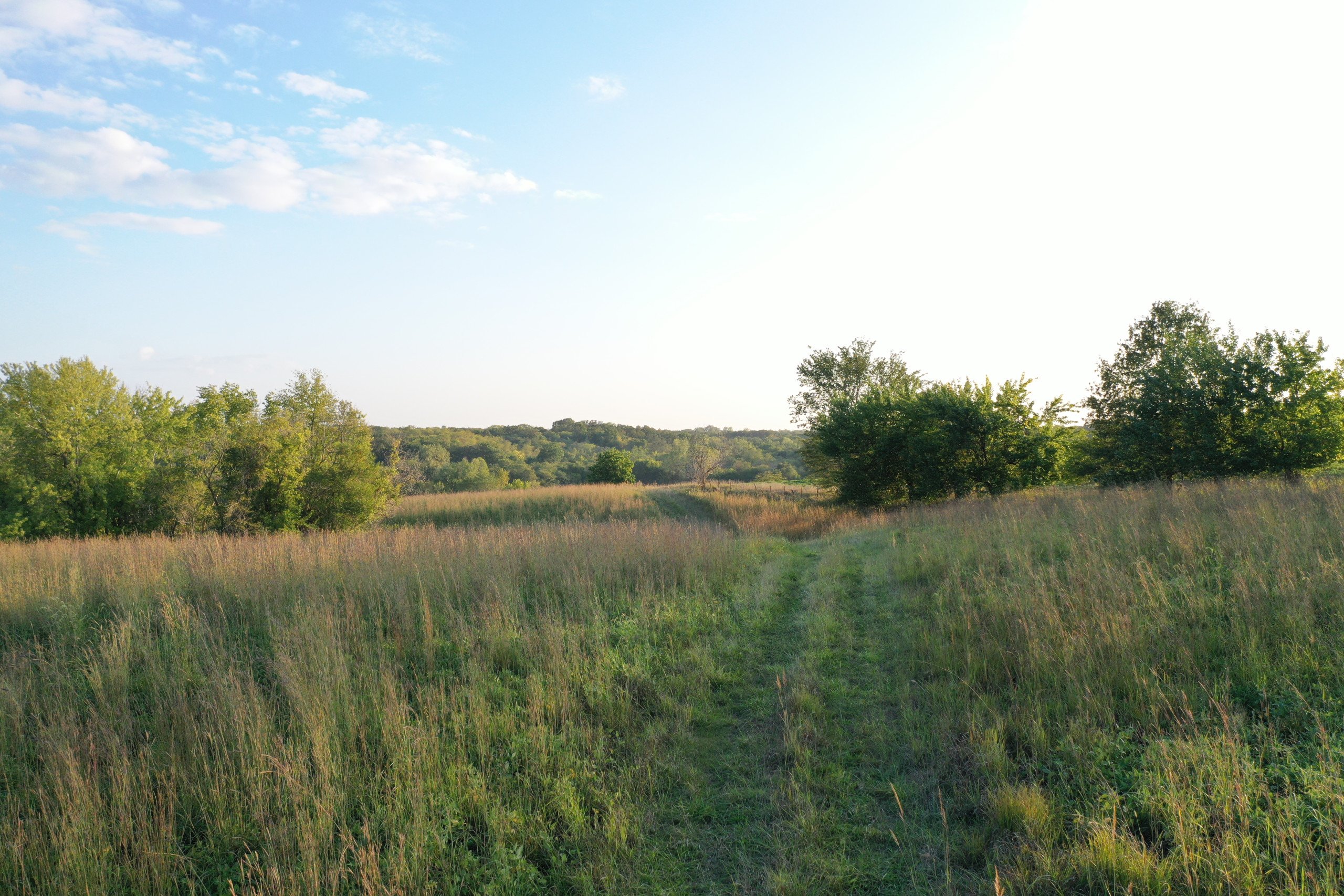 land-van-buren-county-iowa-41-acres-listing-number-17135-DJI_0853-0.jpg