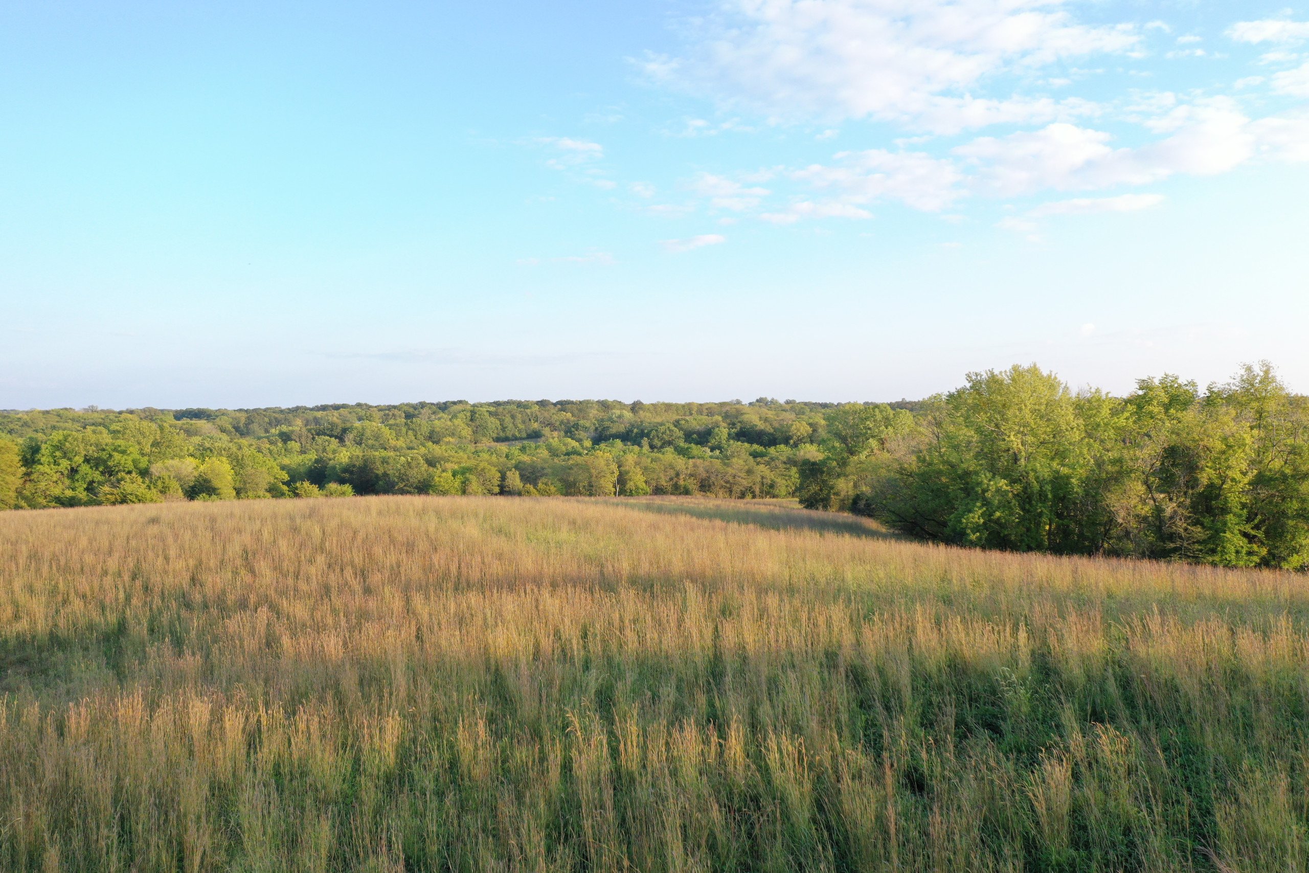 land-van-buren-county-iowa-41-acres-listing-number-17135-DJI_0854-1.jpg