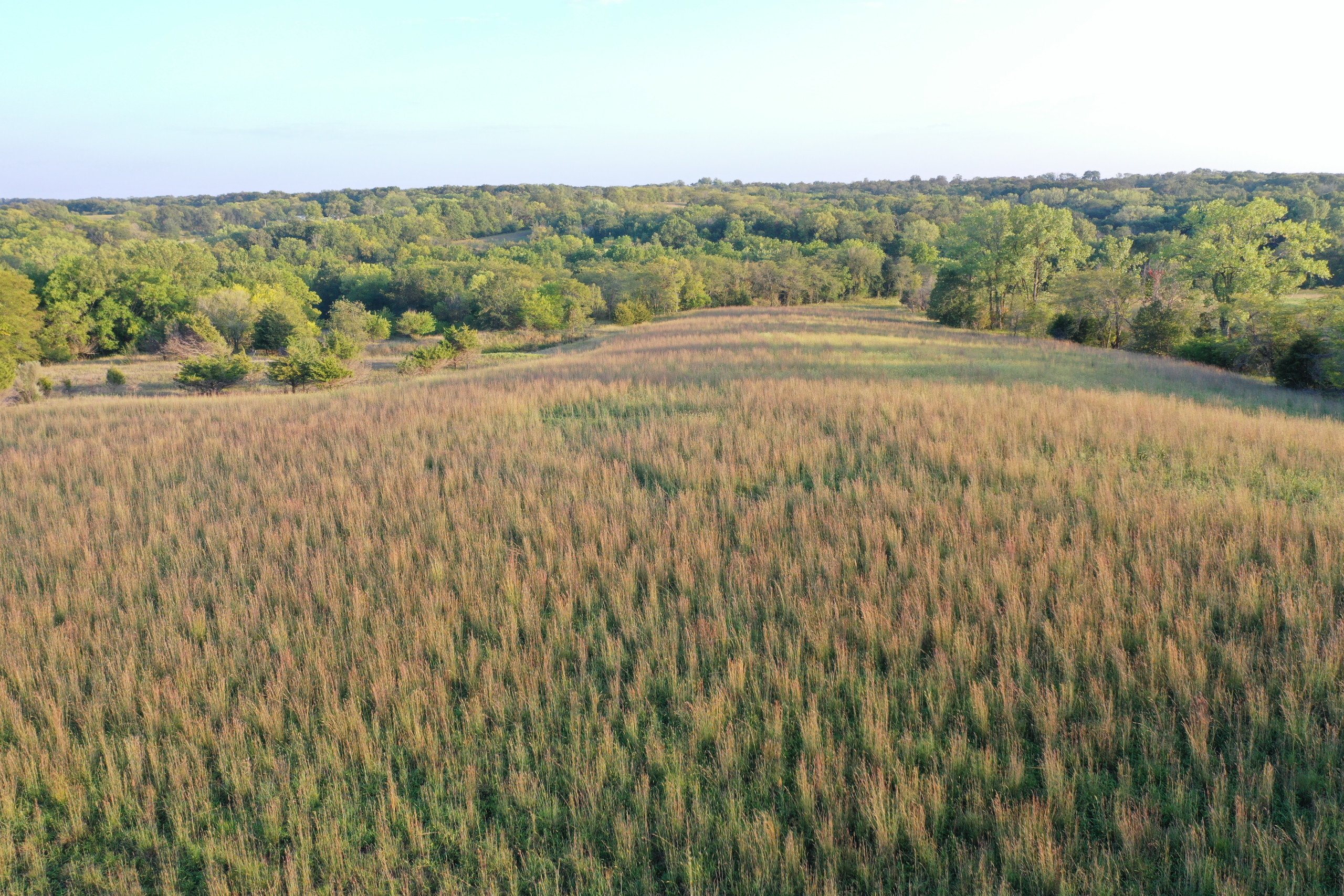 land-van-buren-county-iowa-41-acres-listing-number-17135-DJI_0856-2.jpg