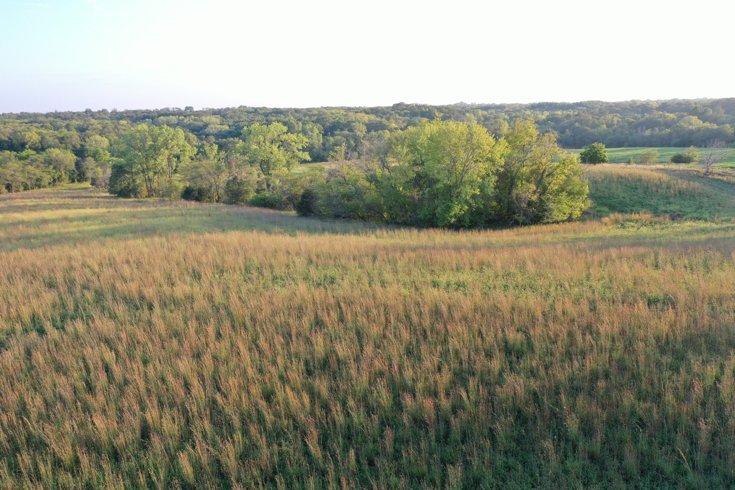 land-van-buren-county-iowa-41-acres-listing-number-17135-DJI_0857-3.jpg