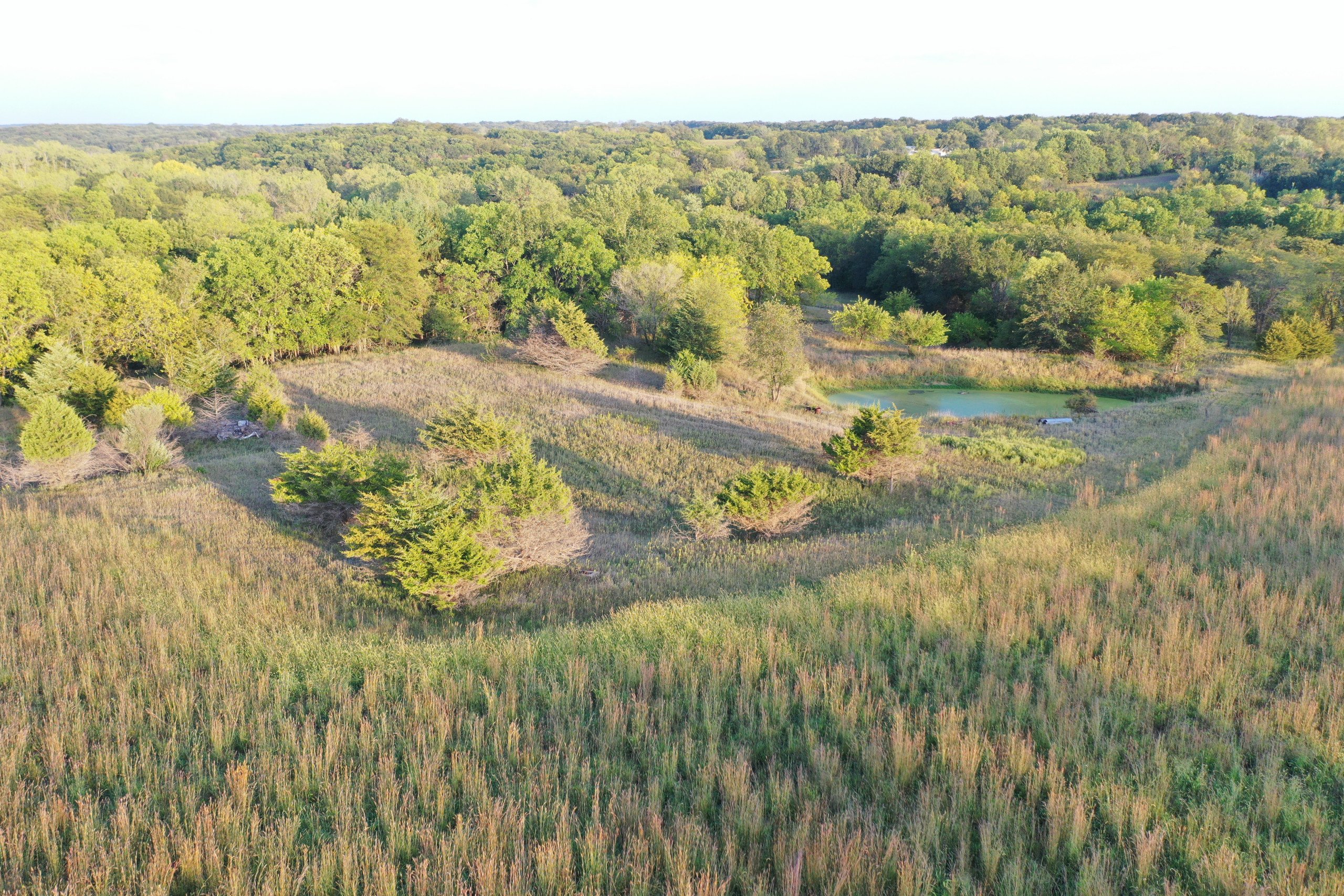 land-van-buren-county-iowa-41-acres-listing-number-17135-DJI_0861-0.jpg