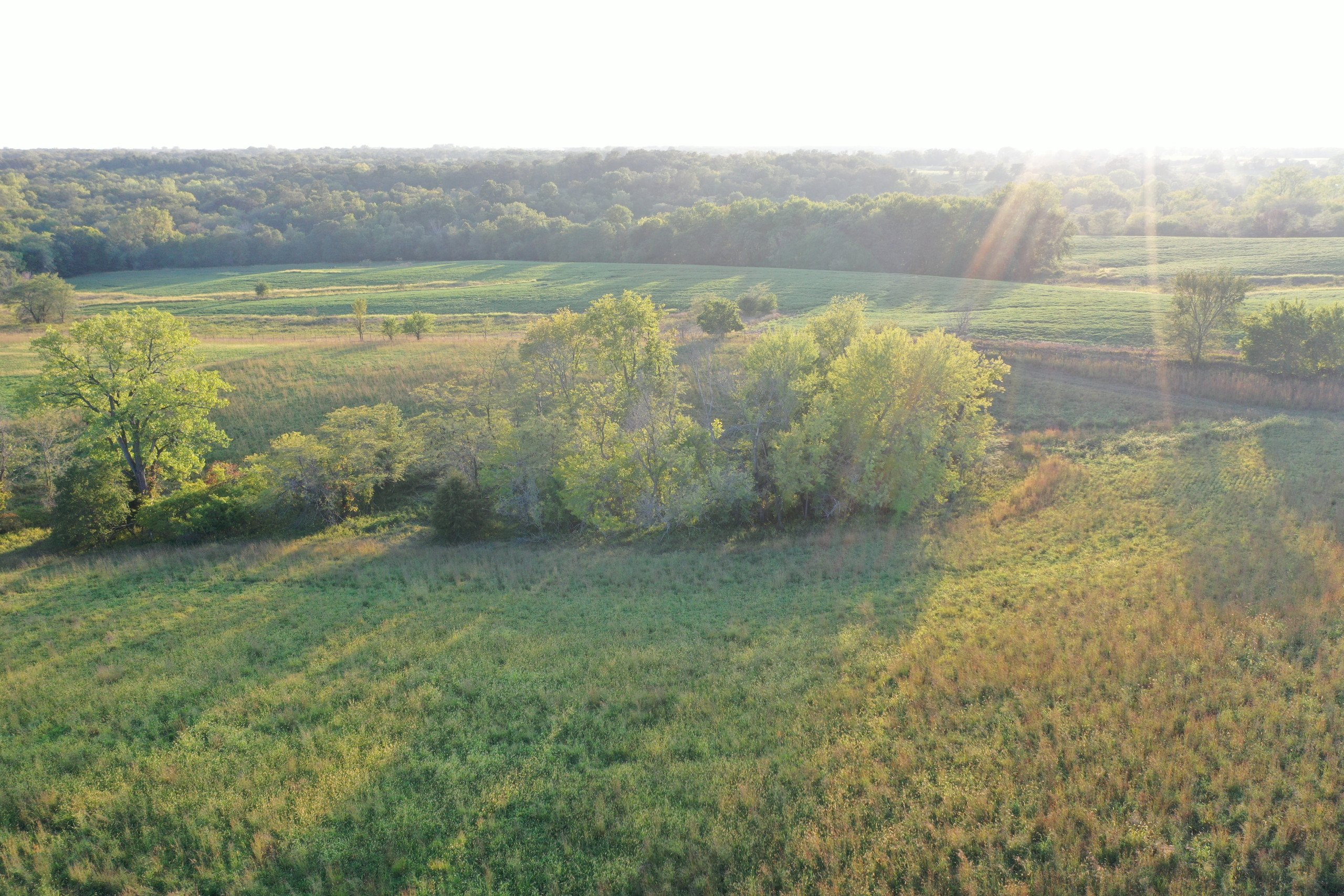 land-van-buren-county-iowa-41-acres-listing-number-17135-DJI_0864-2.jpg