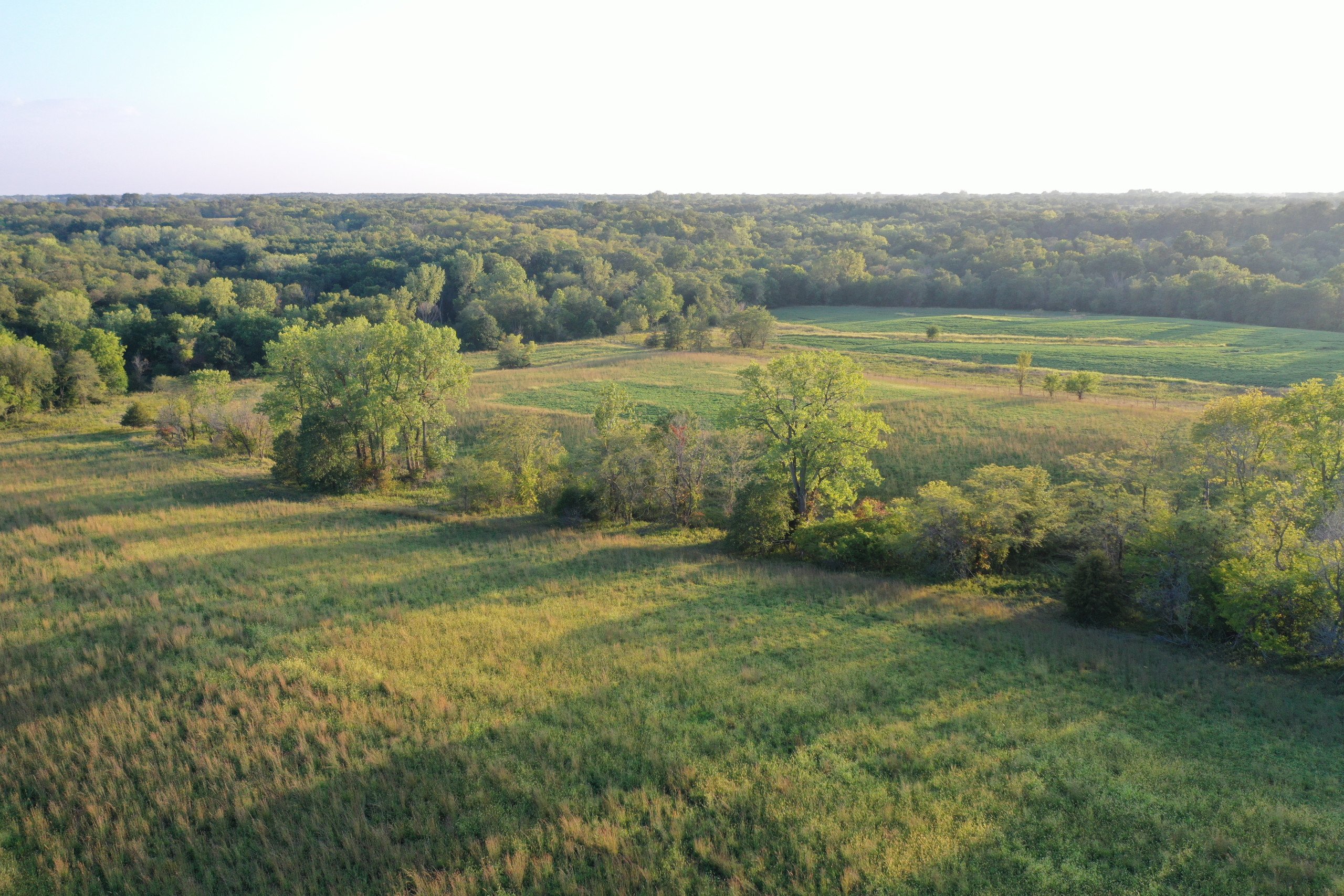 land-van-buren-county-iowa-41-acres-listing-number-17135-DJI_0865-3.jpg