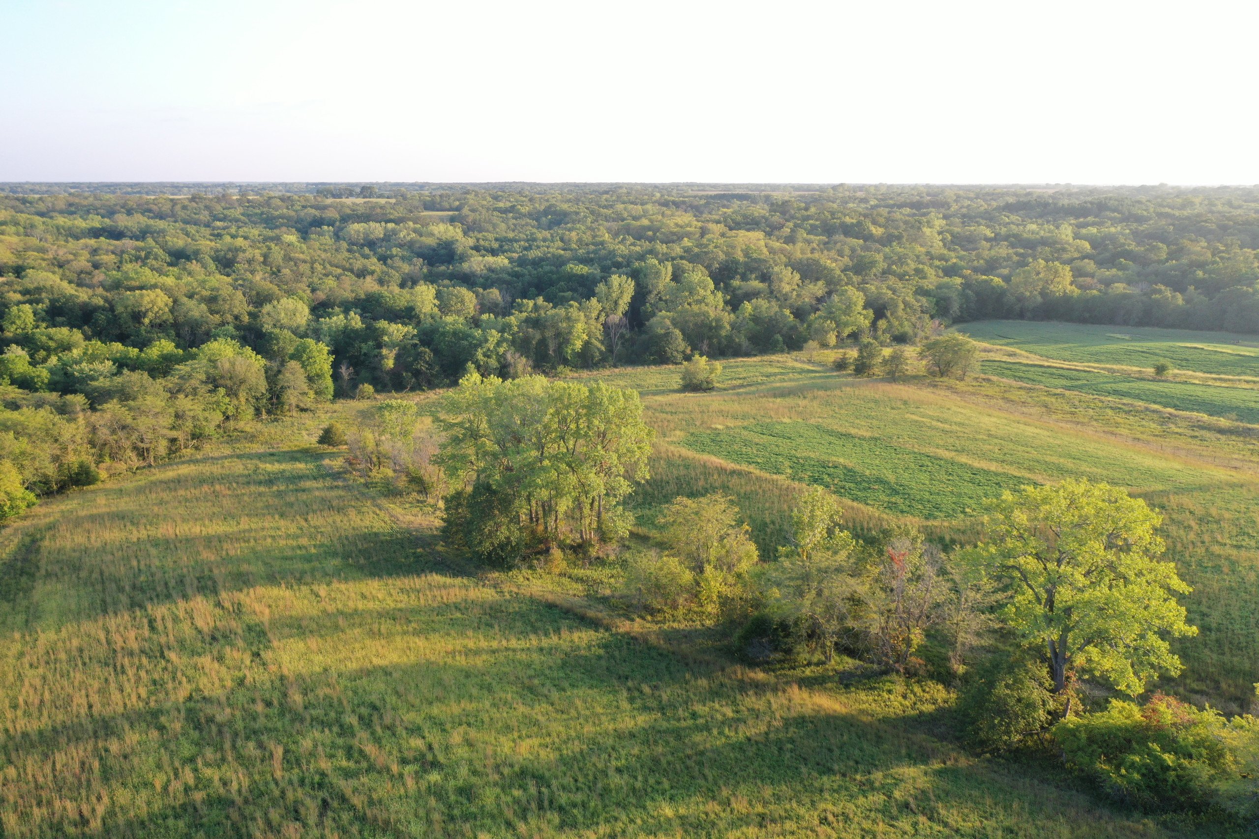 land-van-buren-county-iowa-41-acres-listing-number-17135-DJI_0866-4.jpg