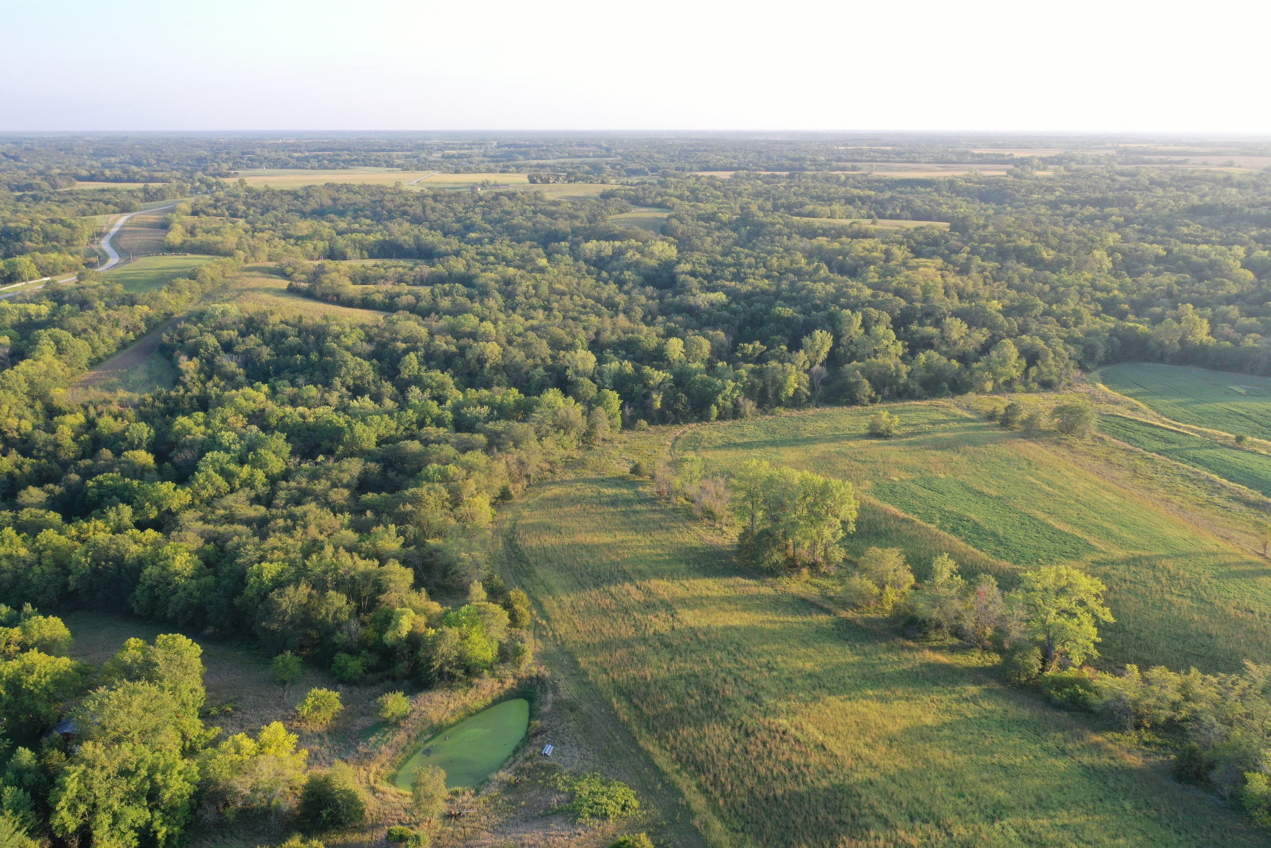 land-van-buren-county-iowa-41-acres-listing-number-17135-DJI_0869-0.jpg