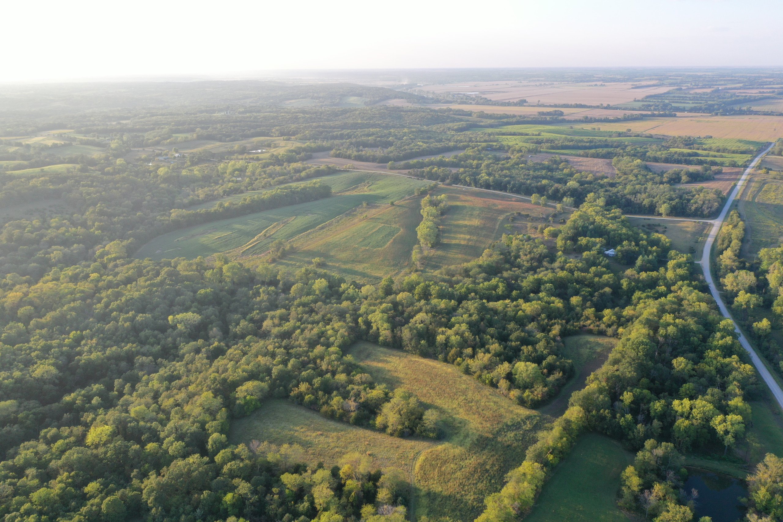 land-van-buren-county-iowa-41-acres-listing-number-17135-DJI_0881-2.jpg