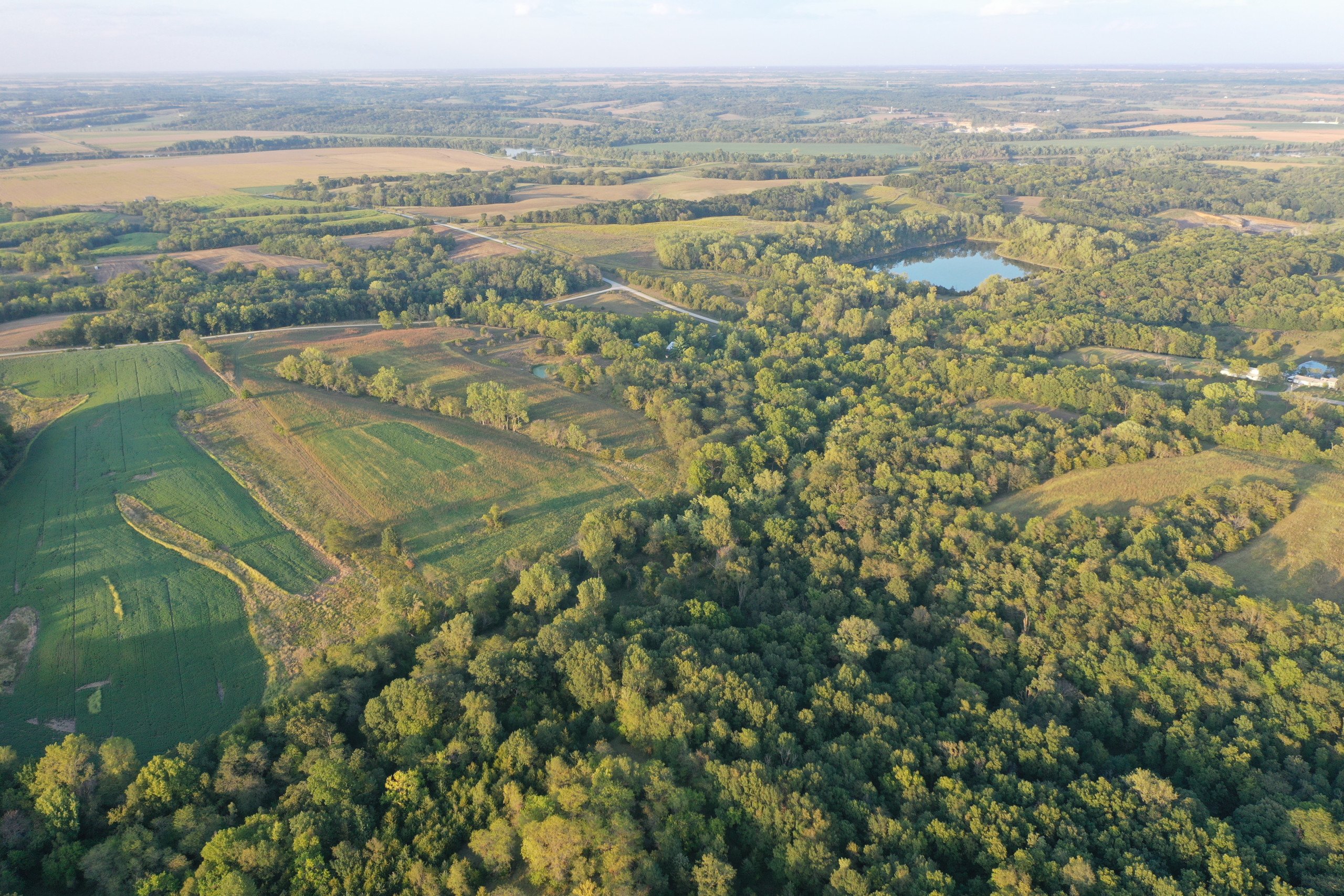 land-van-buren-county-iowa-41-acres-listing-number-17135-DJI_0889-0.jpg