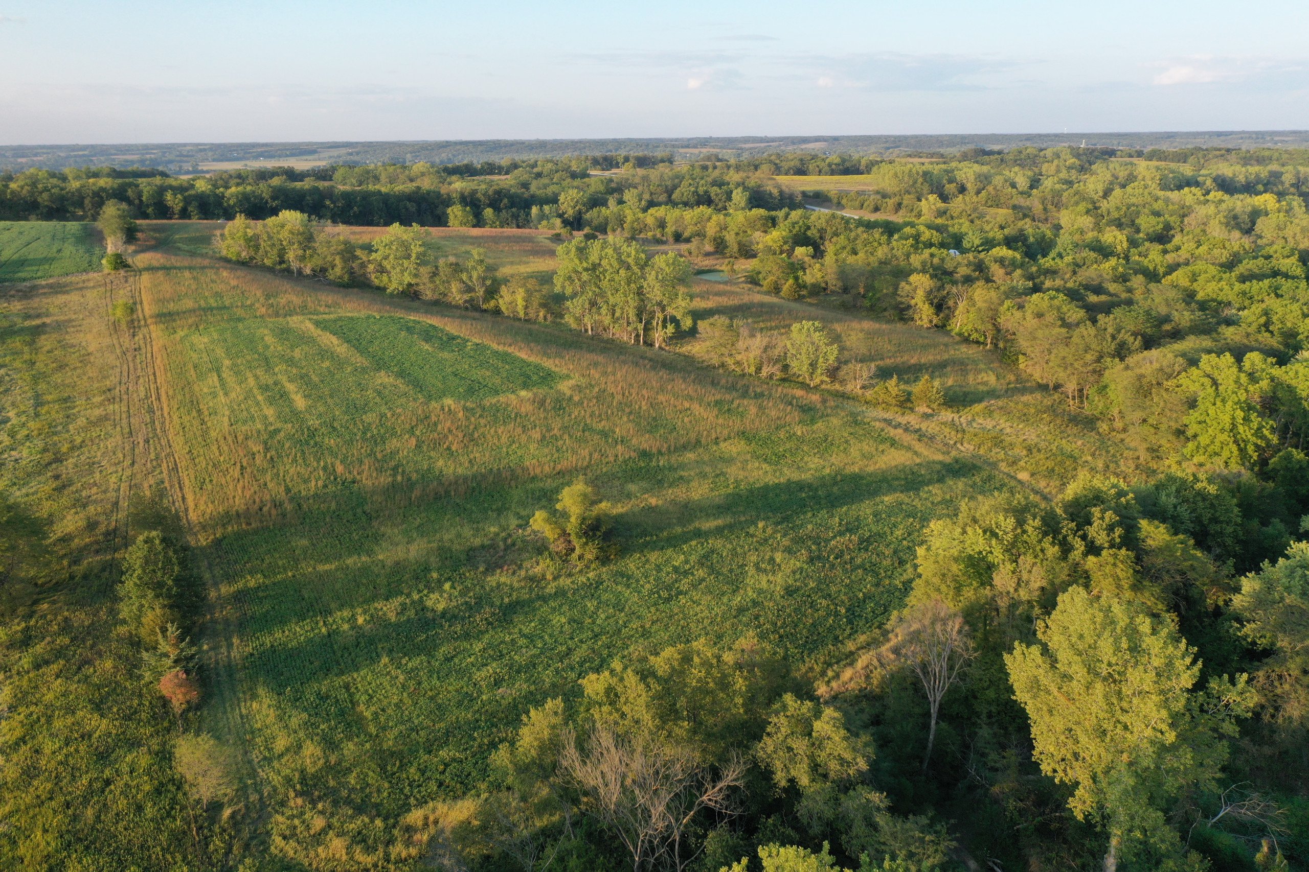 land-van-buren-county-iowa-41-acres-listing-number-17135-DJI_0897-0.jpg