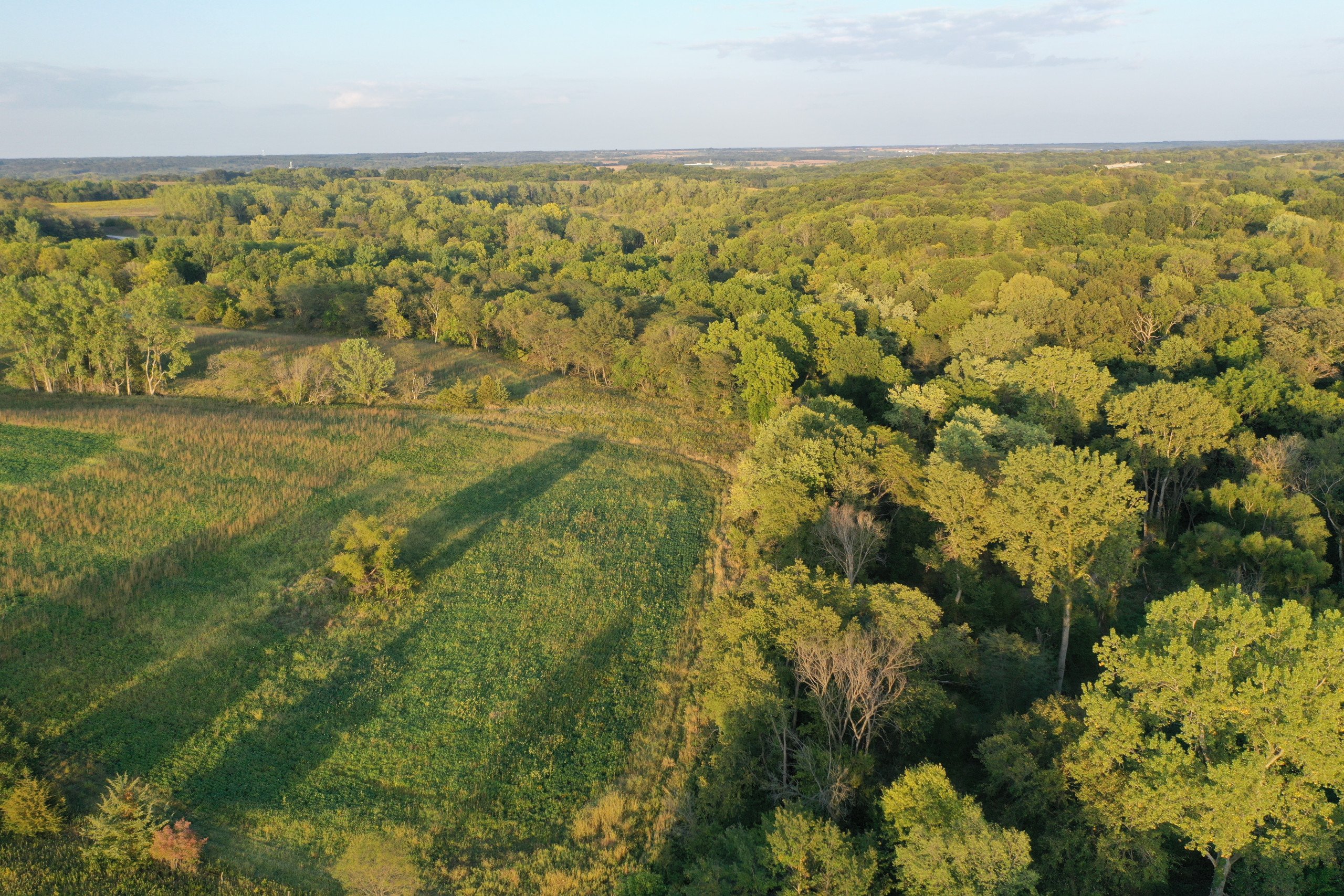 land-van-buren-county-iowa-41-acres-listing-number-17135-DJI_0898-1.jpg