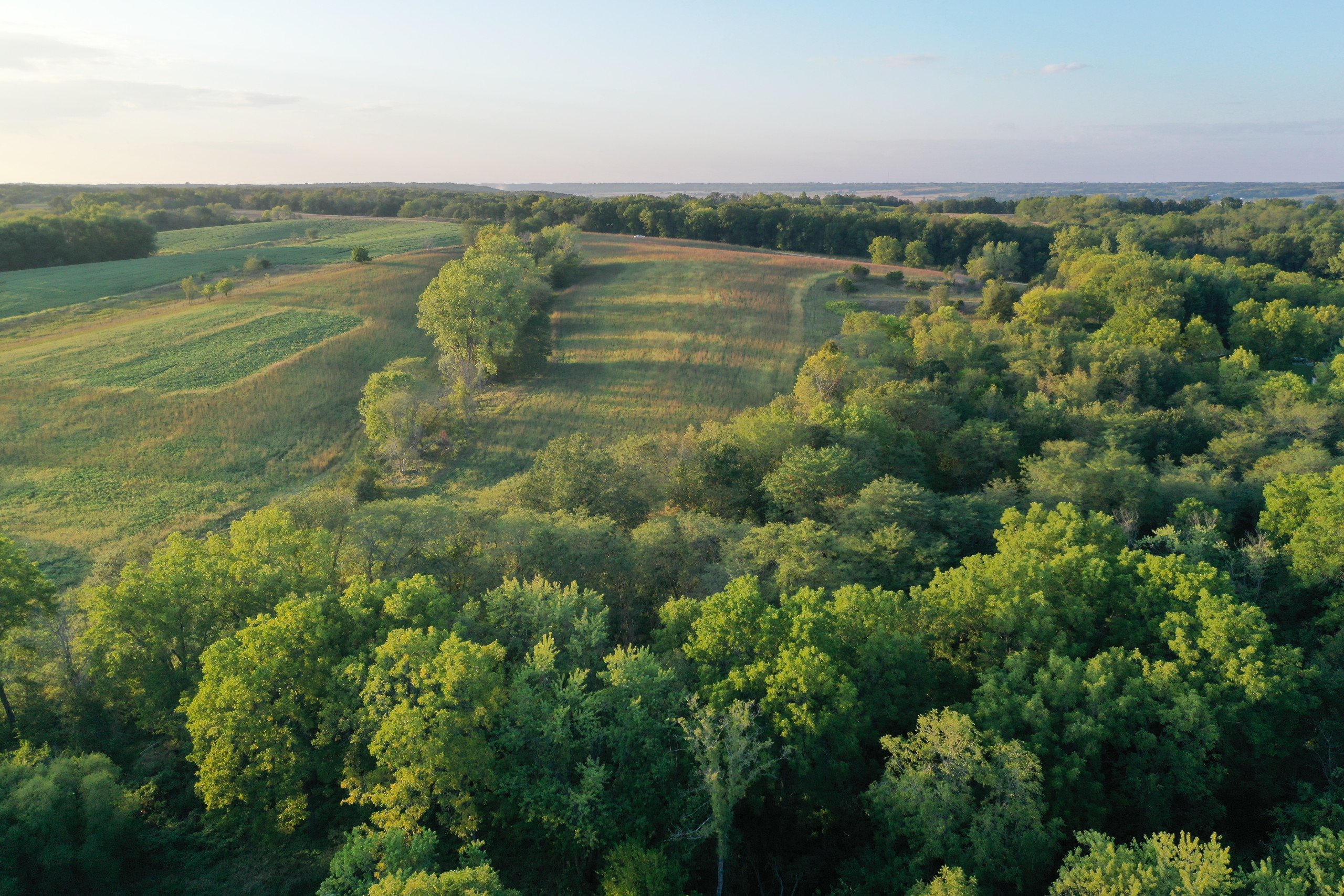 land-van-buren-county-iowa-41-acres-listing-number-17135-DJI_0908-2.jpg