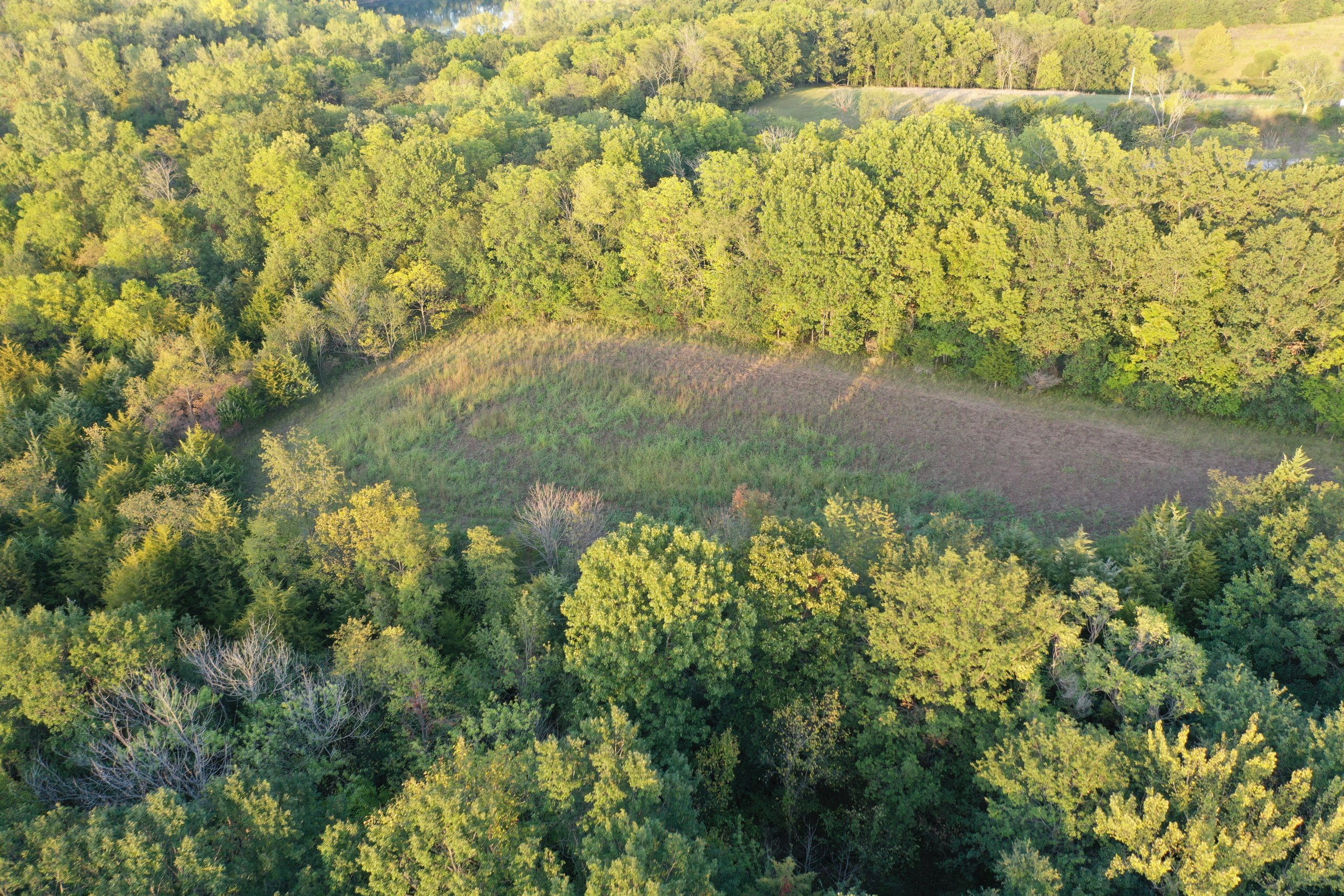 land-van-buren-county-iowa-41-acres-listing-number-17135-DJI_0909-3.jpg