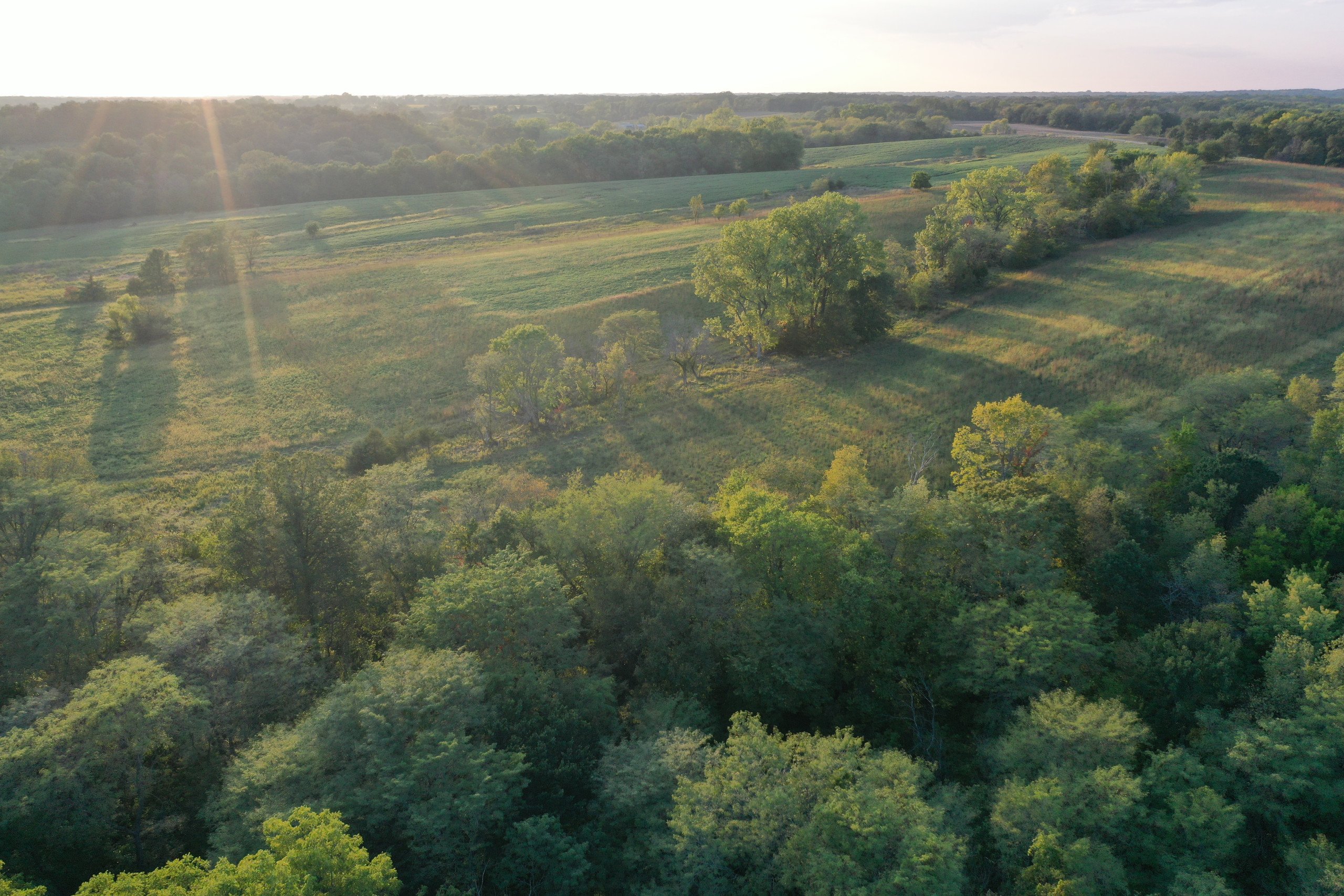 land-van-buren-county-iowa-41-acres-listing-number-17135-DJI_0919-1.jpg