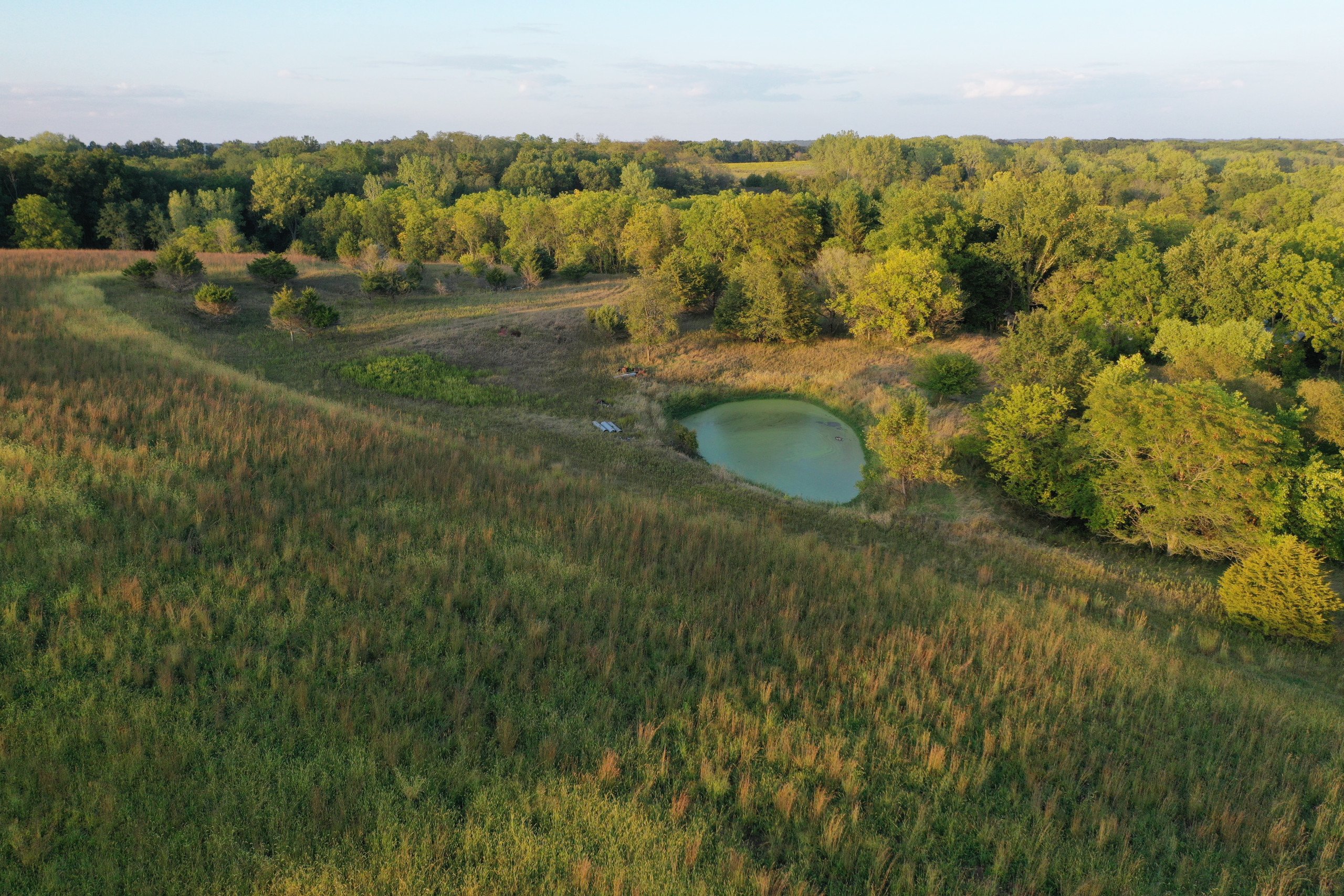 land-van-buren-county-iowa-41-acres-listing-number-17135-DJI_0922-2.jpg