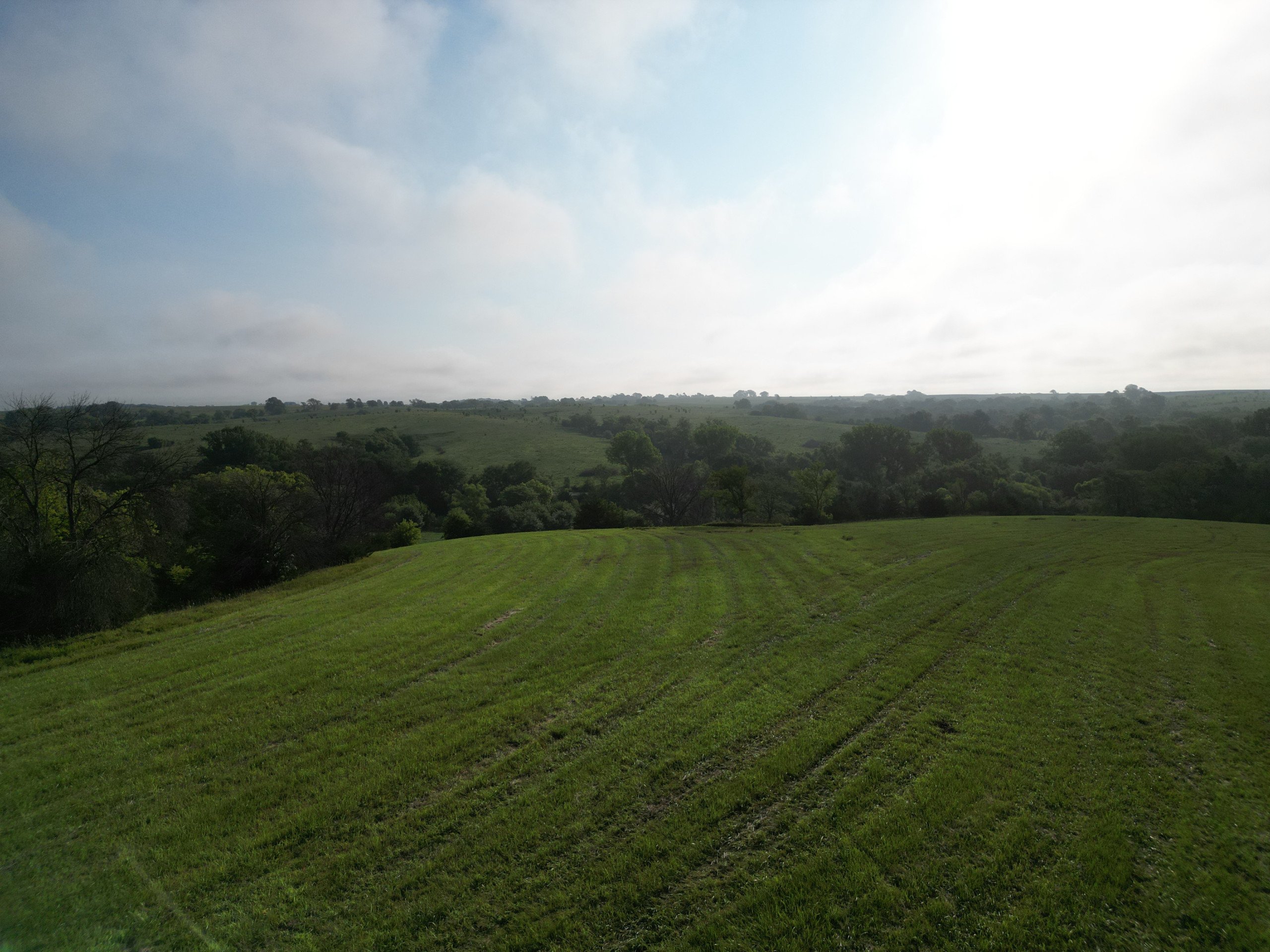 land-110-acres-listing-number-17139-DJI_0657-6.jpg