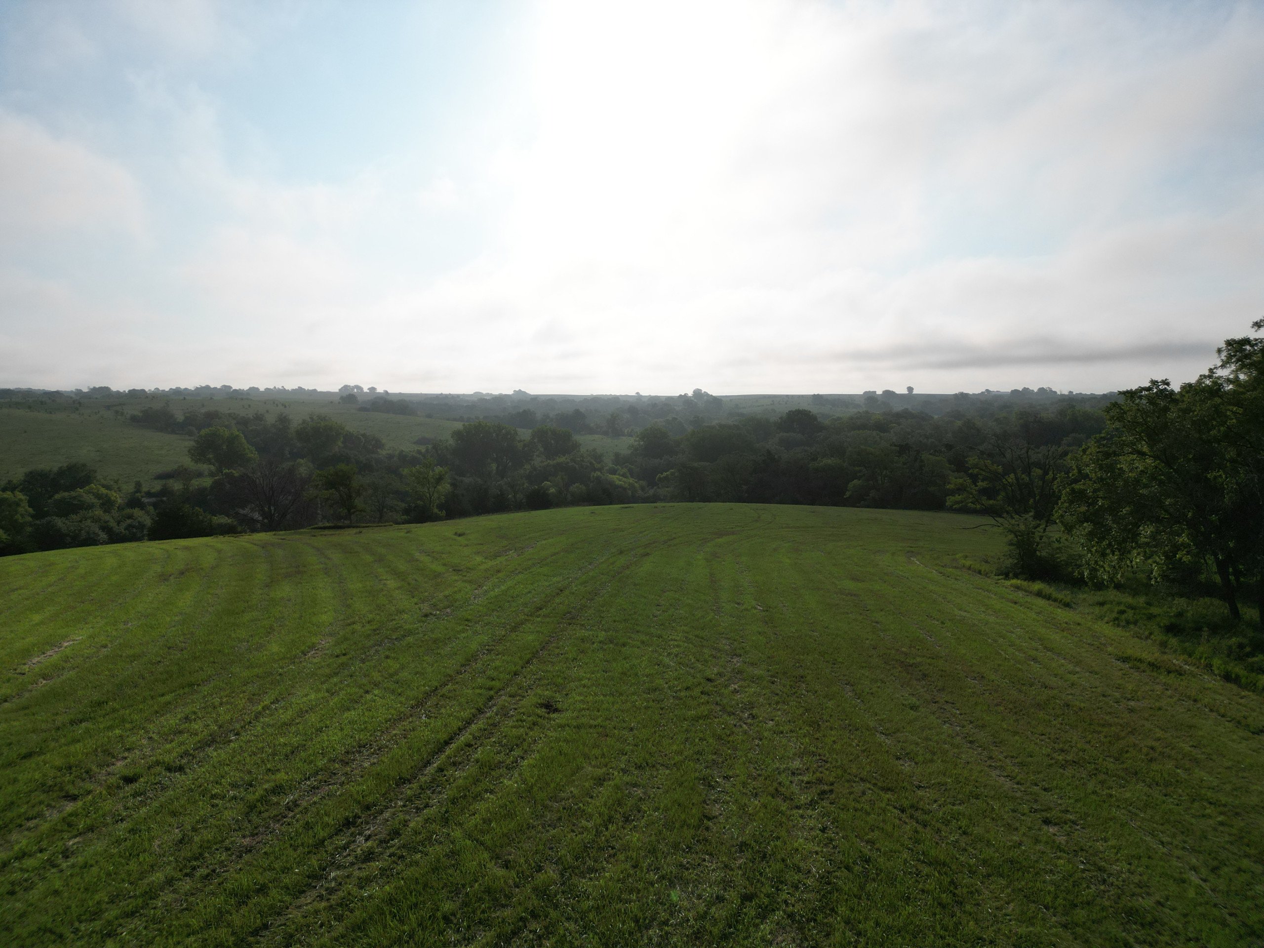 land-110-acres-listing-number-17139-DJI_0658-7.jpg