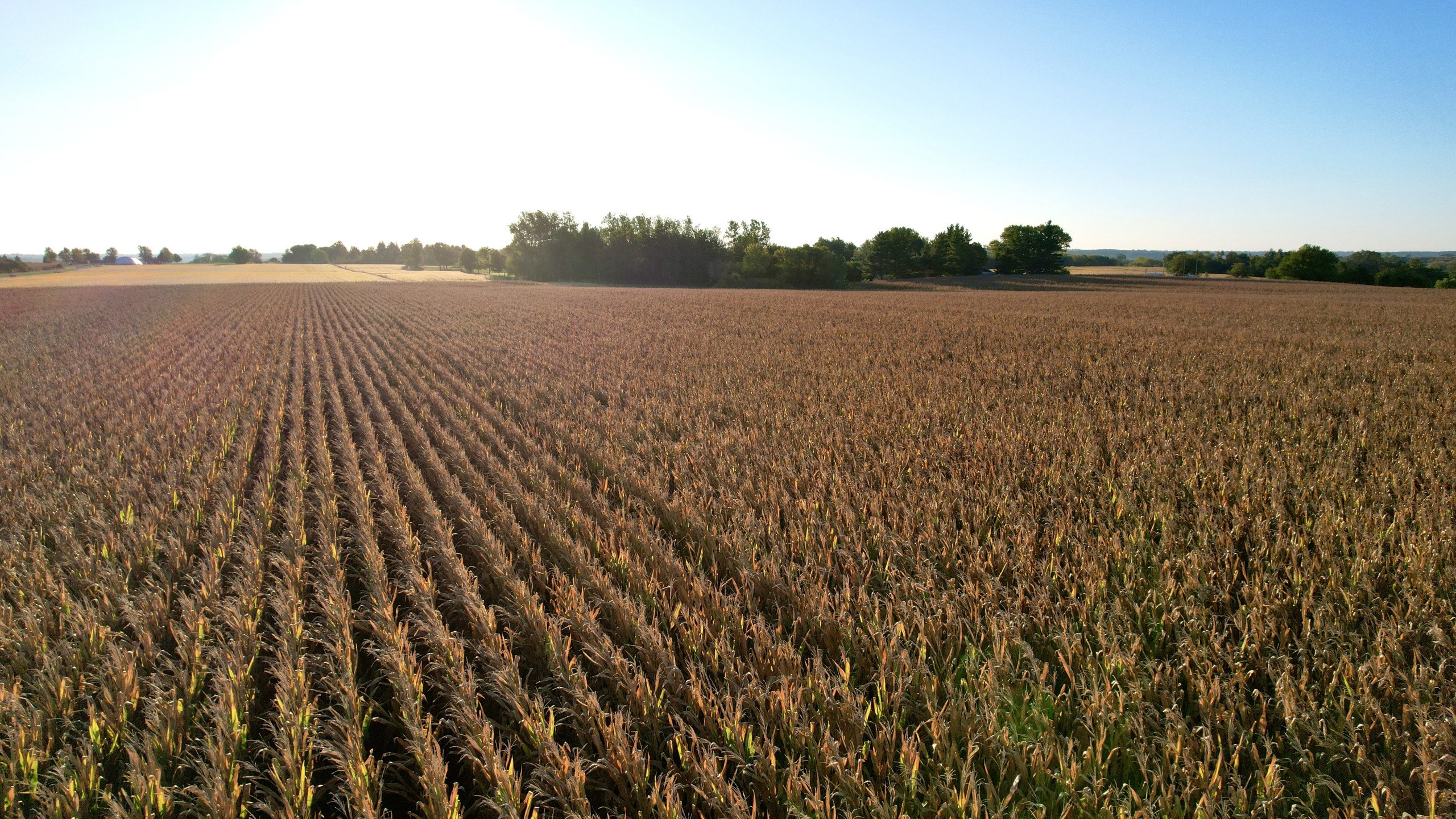 1-us-highway-69-120th-avenue-indianola-50125-DJI_0012-0.jpg