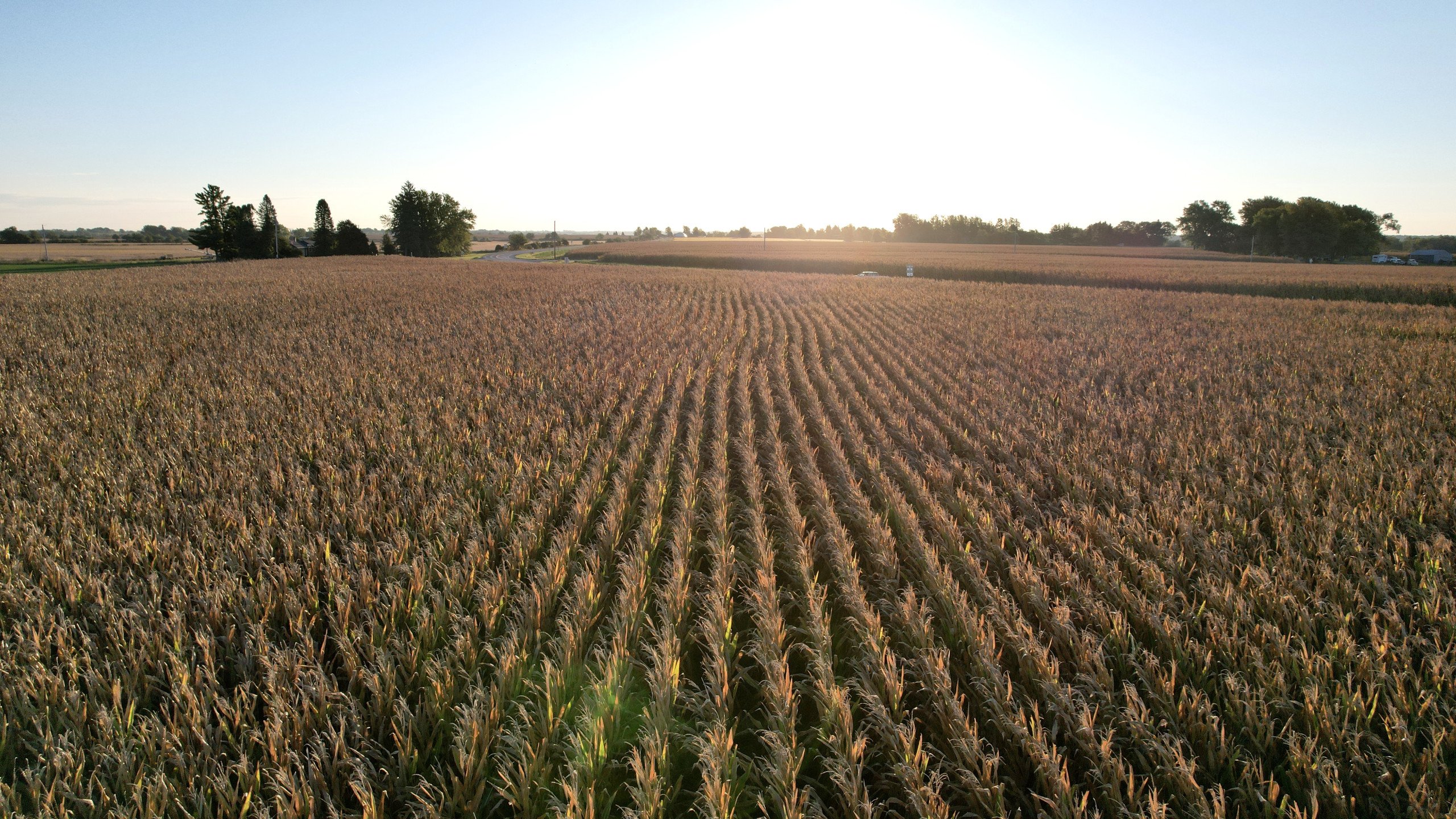 3-us-highway-69-indianola-50125-DJI_0974 2-1.jpg