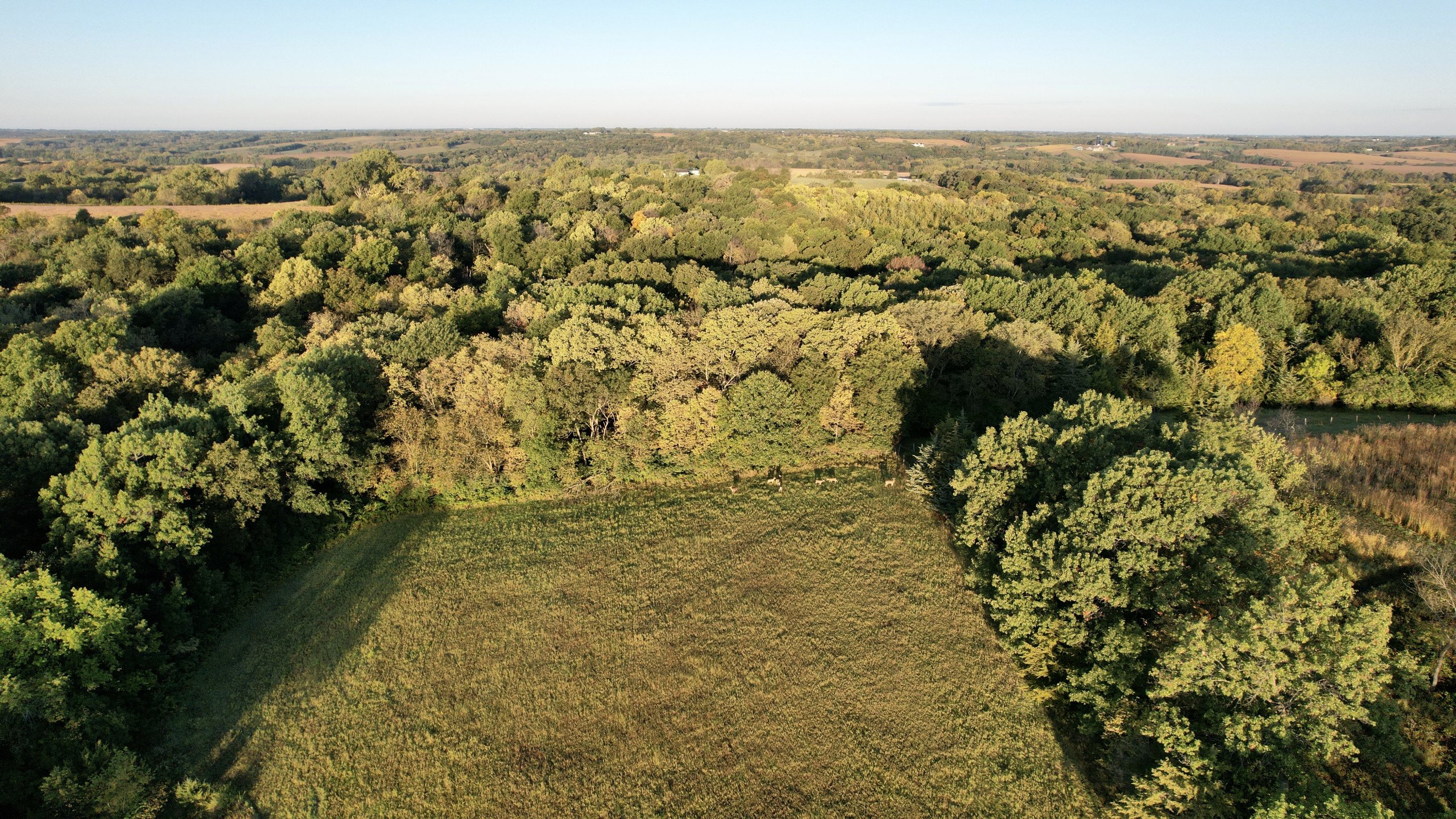 3-us-highway-69-indianola-50125-DJI_0982-5.jpg