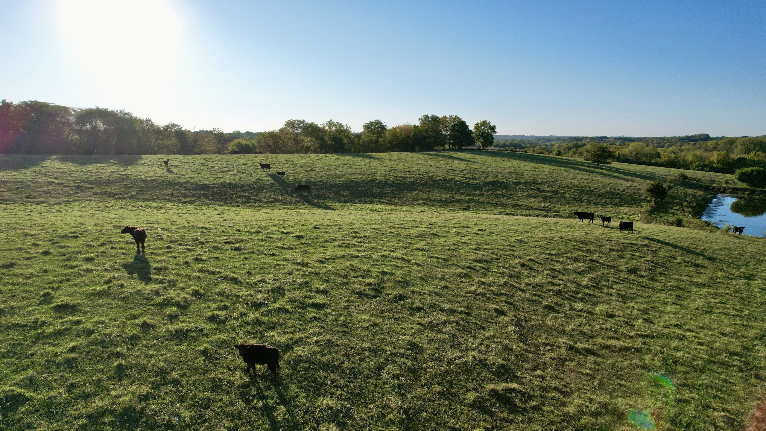 6-120th-avenue-quaker-street-indianola-50125-DJI_0072-8.jpg