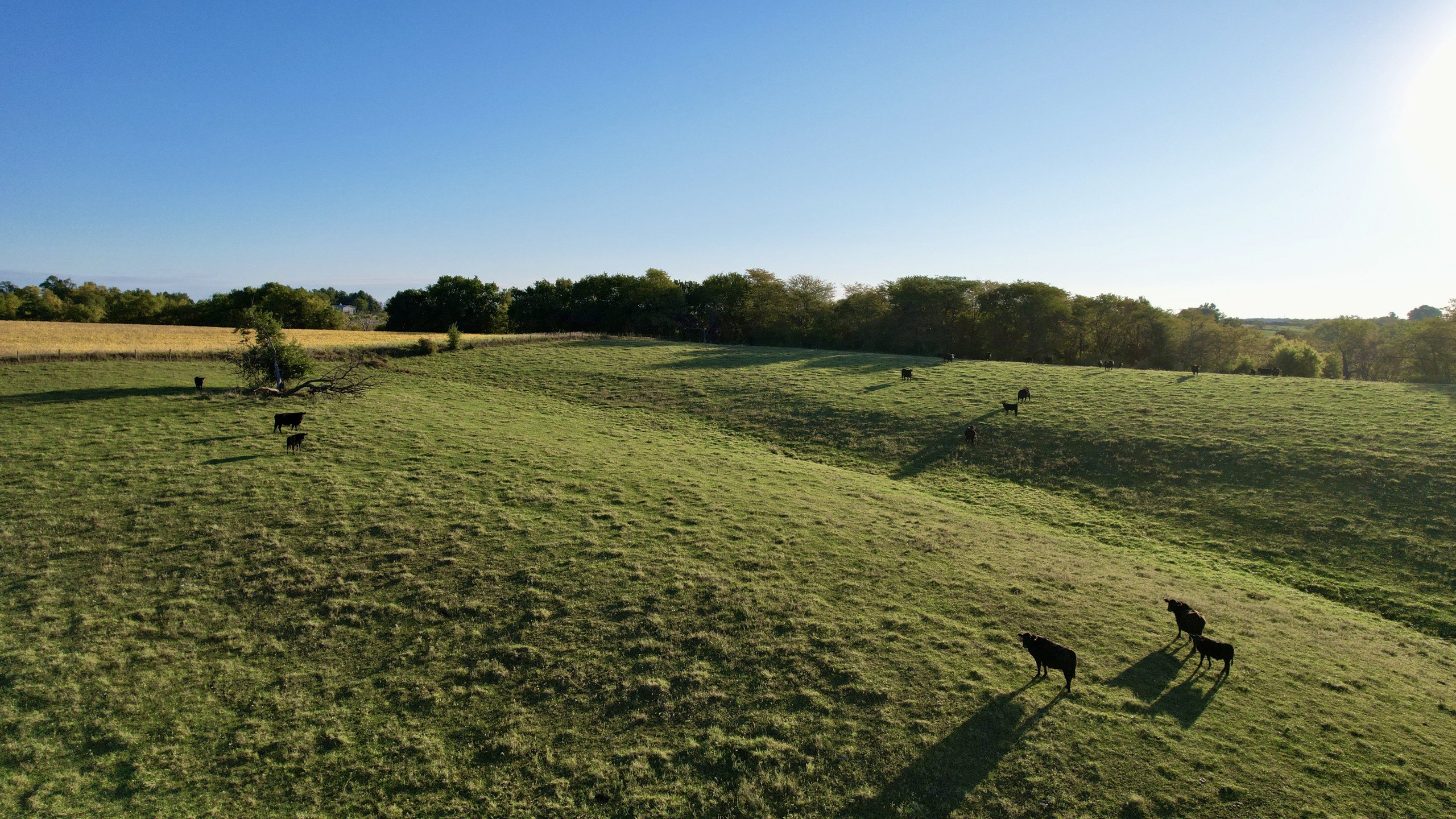 6-120th-avenue-quaker-street-indianola-50125-DJI_0075-10.jpg