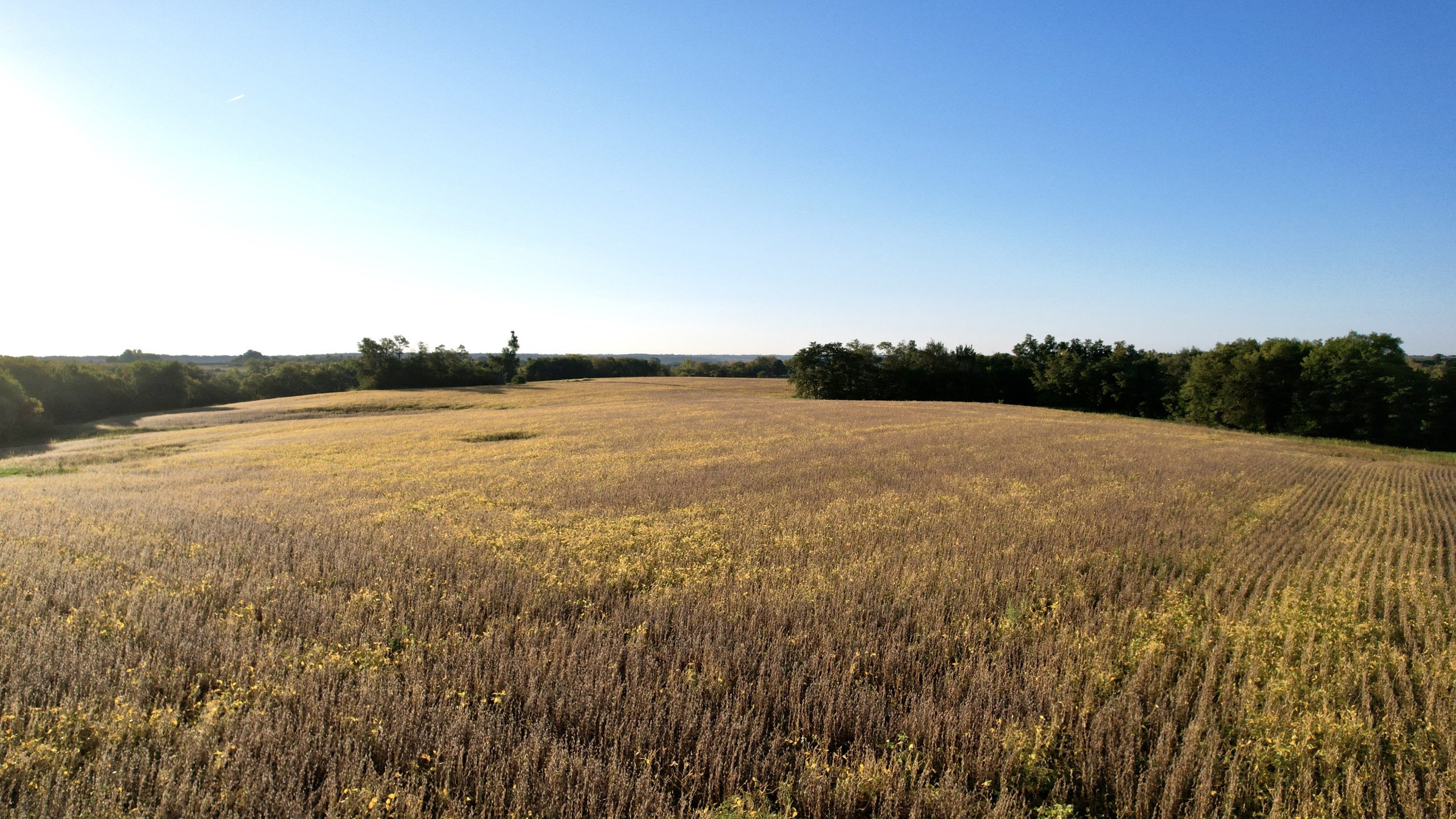 7-quaker-street-indianola-50125-DJI_0030-1.jpg