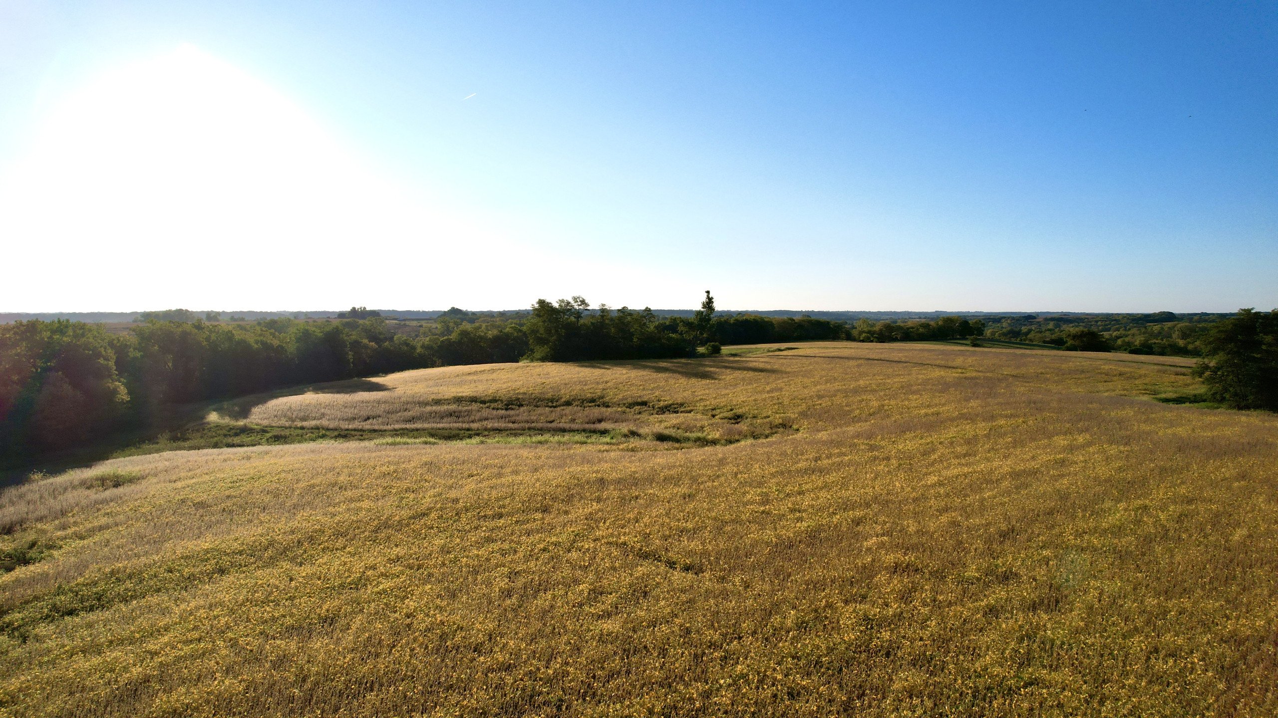 7-quaker-street-indianola-50125-DJI_0032-2.jpg