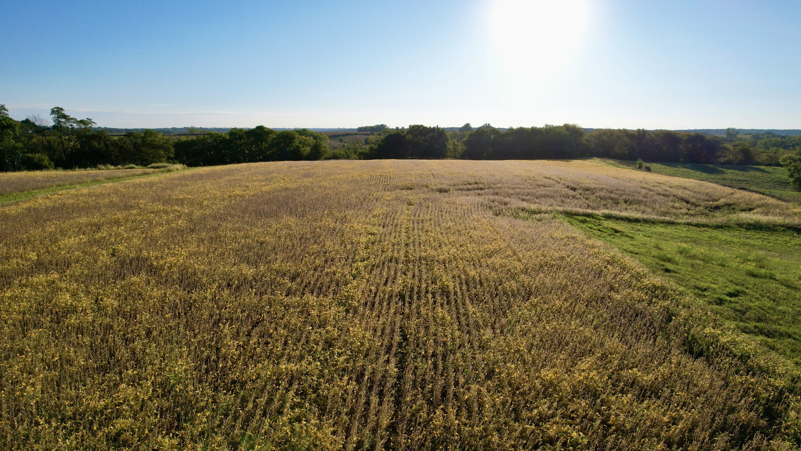 7-quaker-street-indianola-50125-DJI_0078-5.jpg