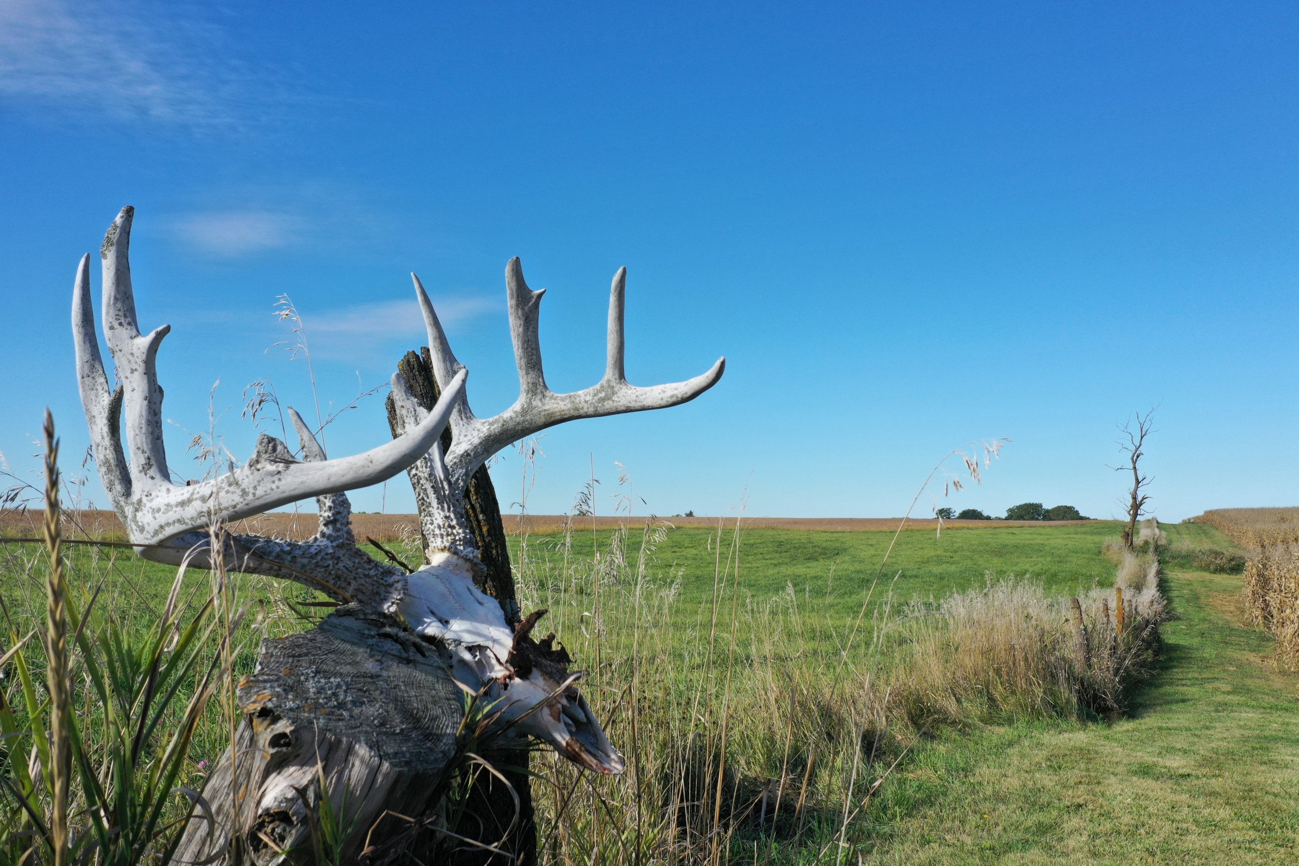 land-warren-county-iowa-74-acres-listing-number-17146-DJI_0302-3.jpg