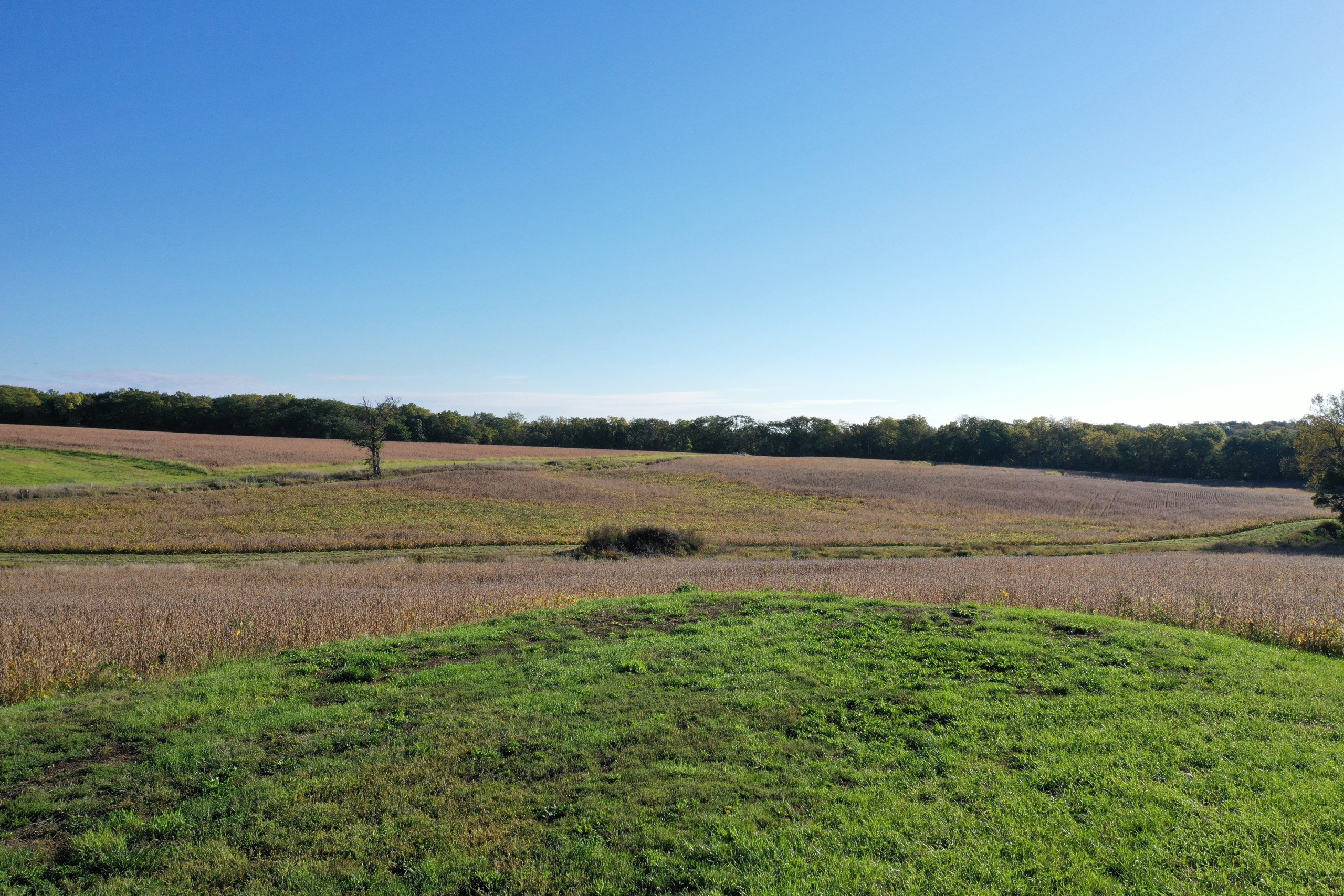 land-warren-county-iowa-40-acres-listing-number-17147-DJI_0152-0.jpg