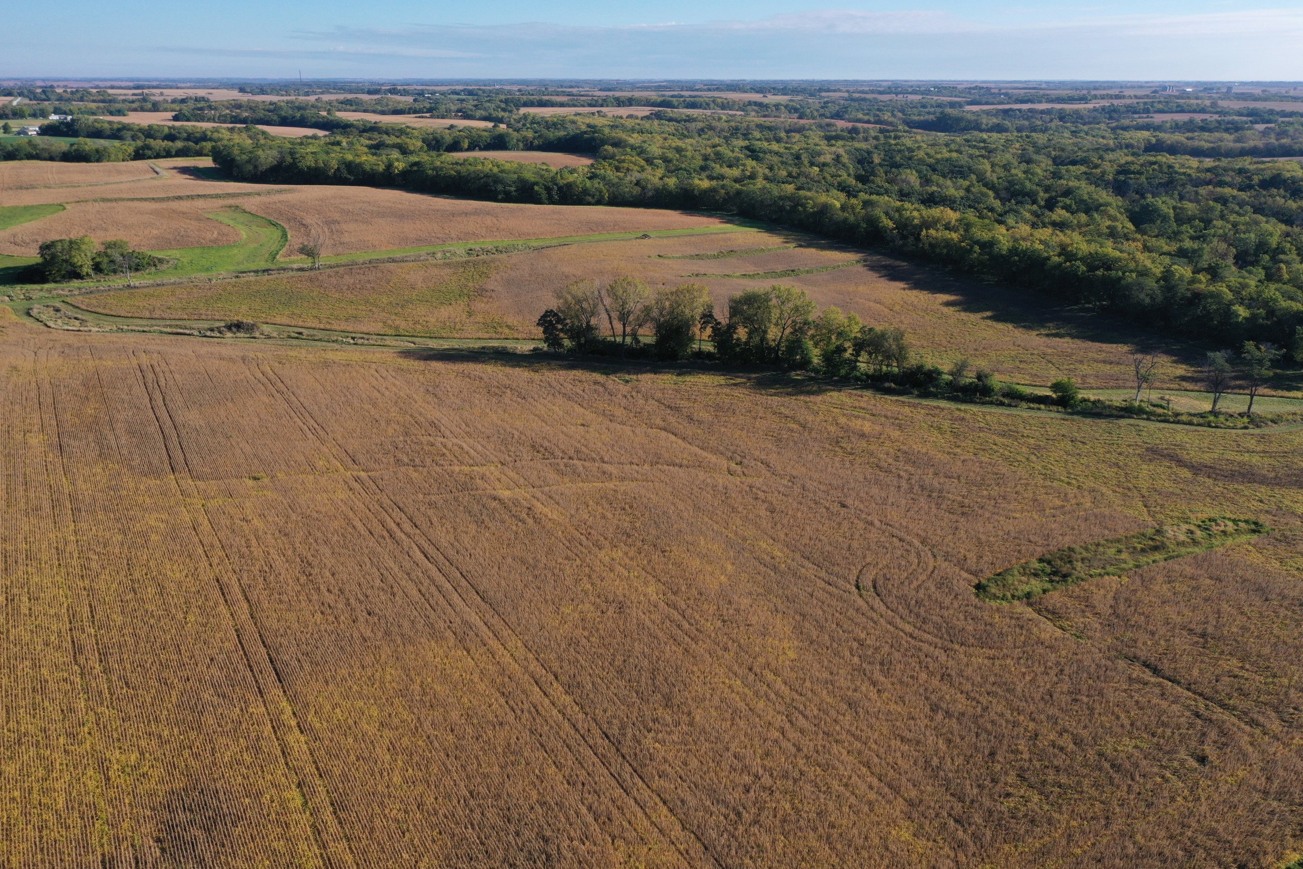 land-warren-county-iowa-40-acres-listing-number-17147-DJI_0184-1.jpg