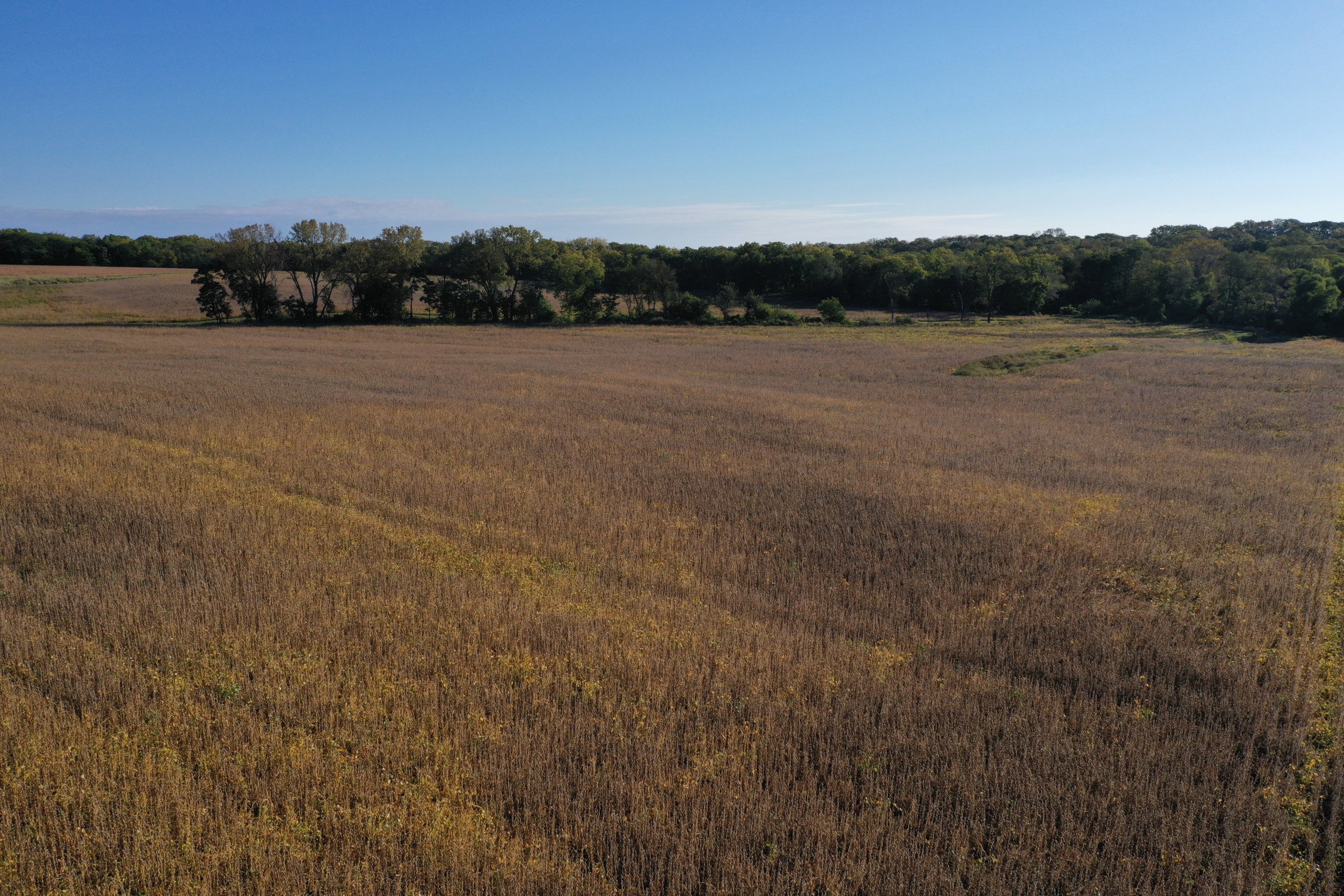 land-warren-county-iowa-40-acres-listing-number-17147-DJI_0189-3.jpg