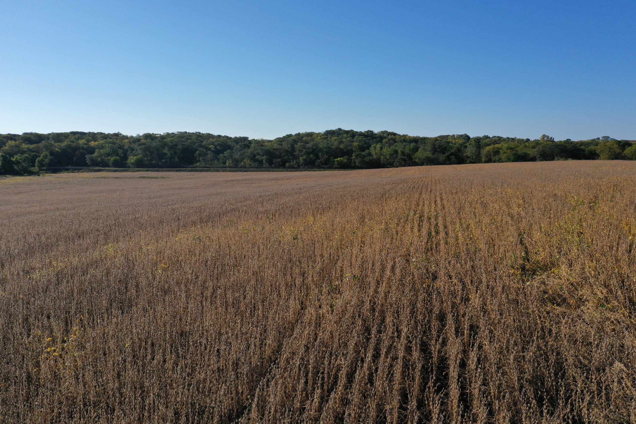 land-warren-county-iowa-40-acres-listing-number-17147-DJI_0195-0.jpg