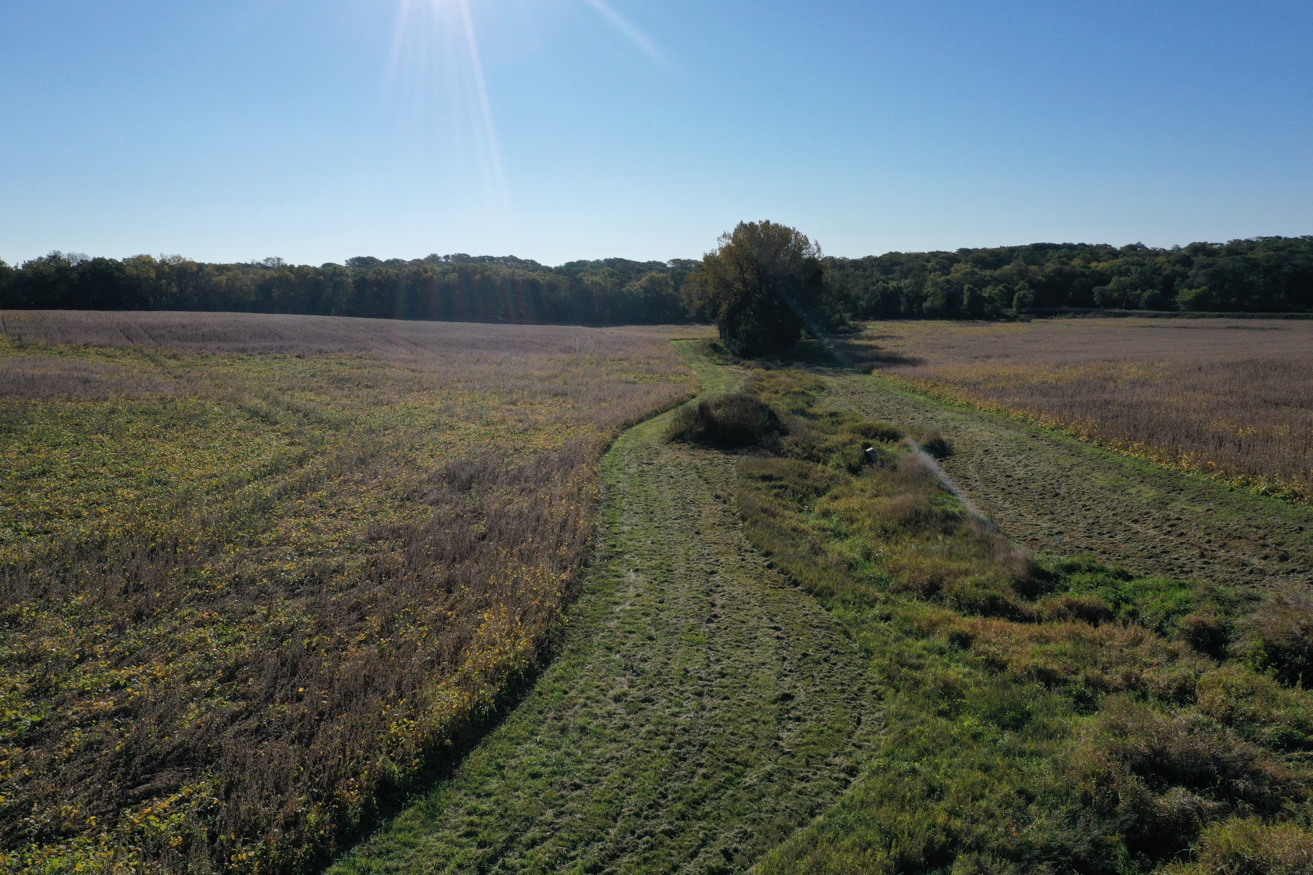 land-warren-county-iowa-40-acres-listing-number-17147-DJI_0197-1.jpg