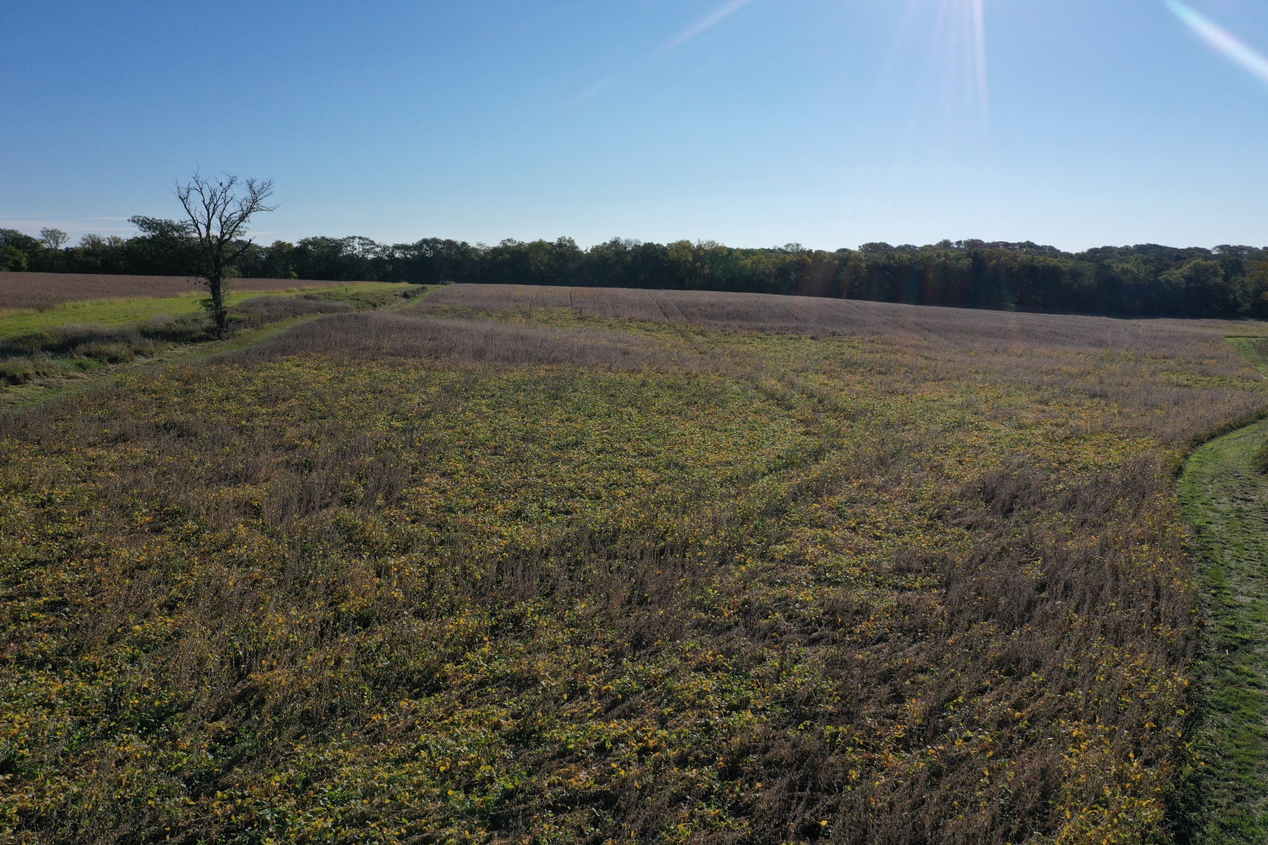 land-warren-county-iowa-40-acres-listing-number-17147-DJI_0198-2.jpg