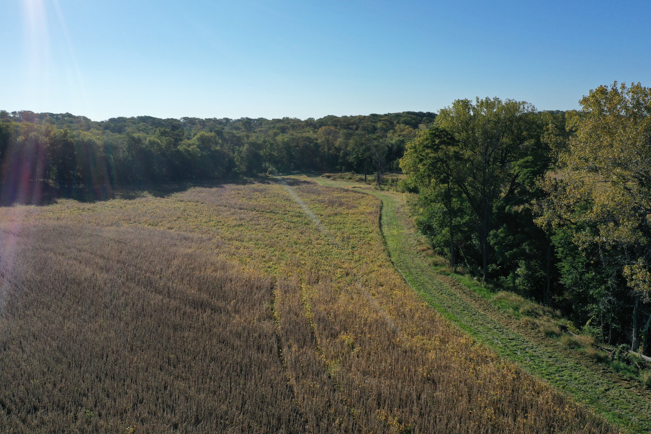 land-warren-county-iowa-40-acres-listing-number-17147-DJI_0201-0.jpg