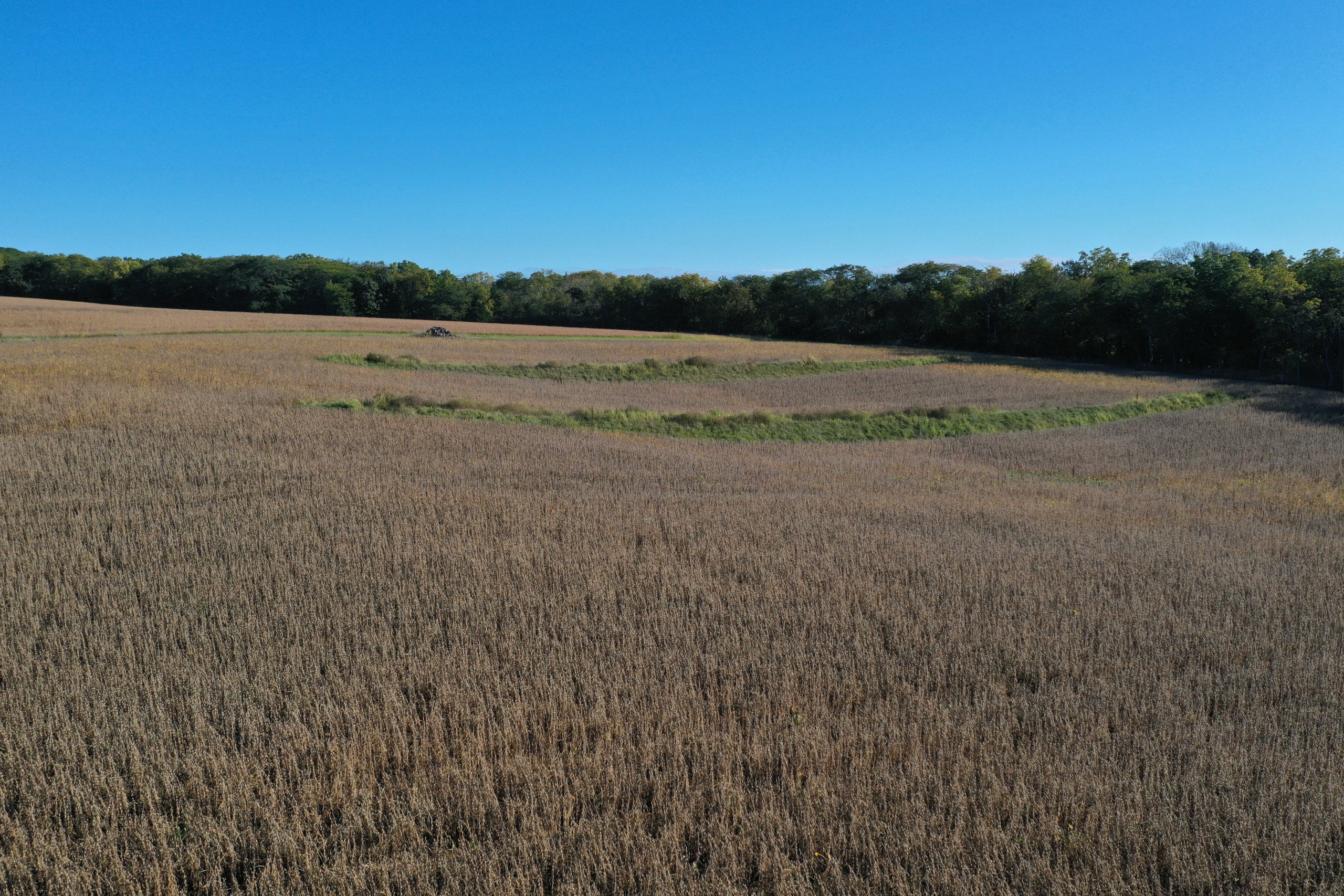 land-warren-county-iowa-40-acres-listing-number-17147-DJI_0202-1.jpg